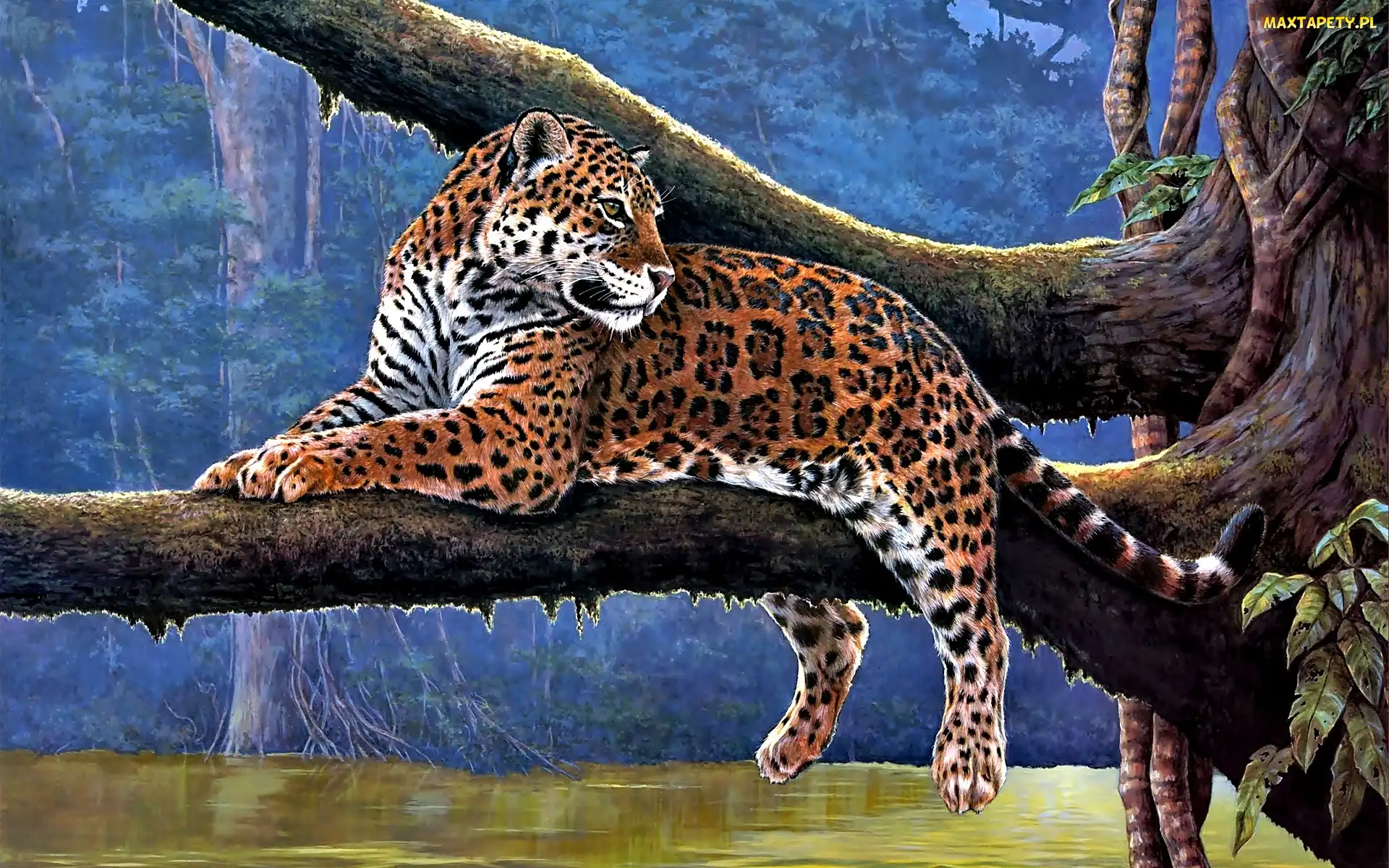 Konar, Jaguar, Drzewo