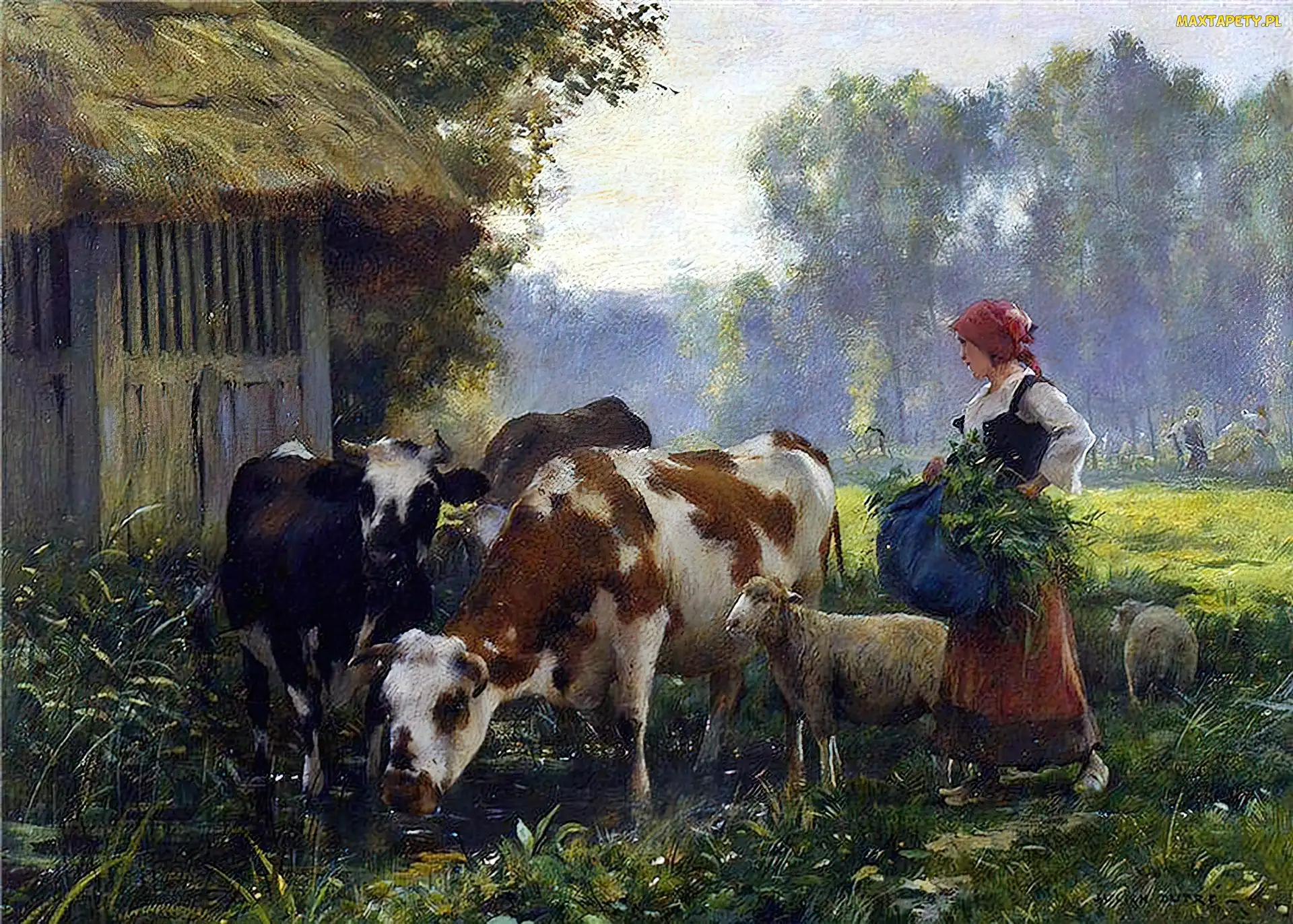 Krowy, Łąka, Las, Owce