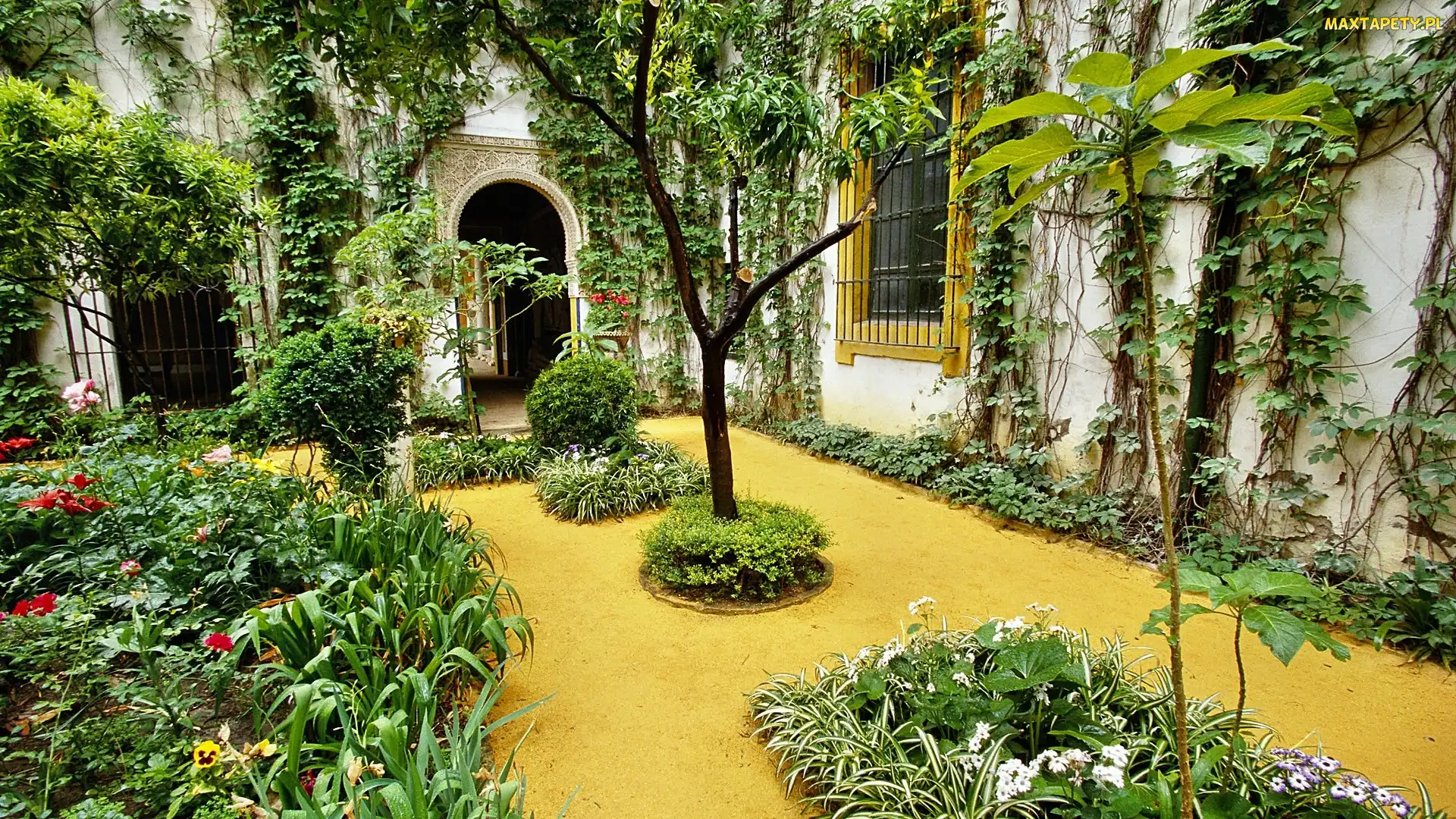 Patio, Ogród, Dom