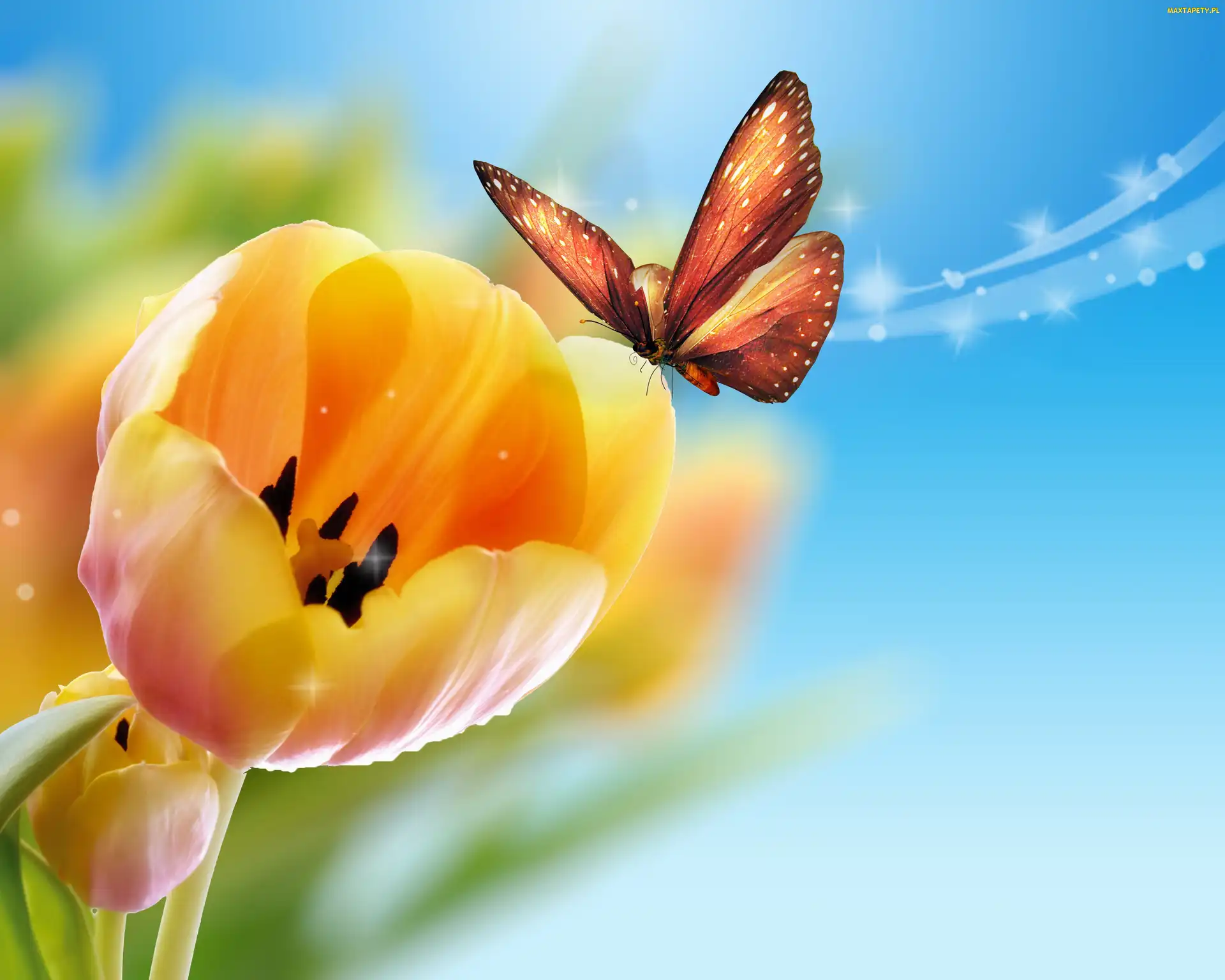Żółte, Motyl, Tulipany