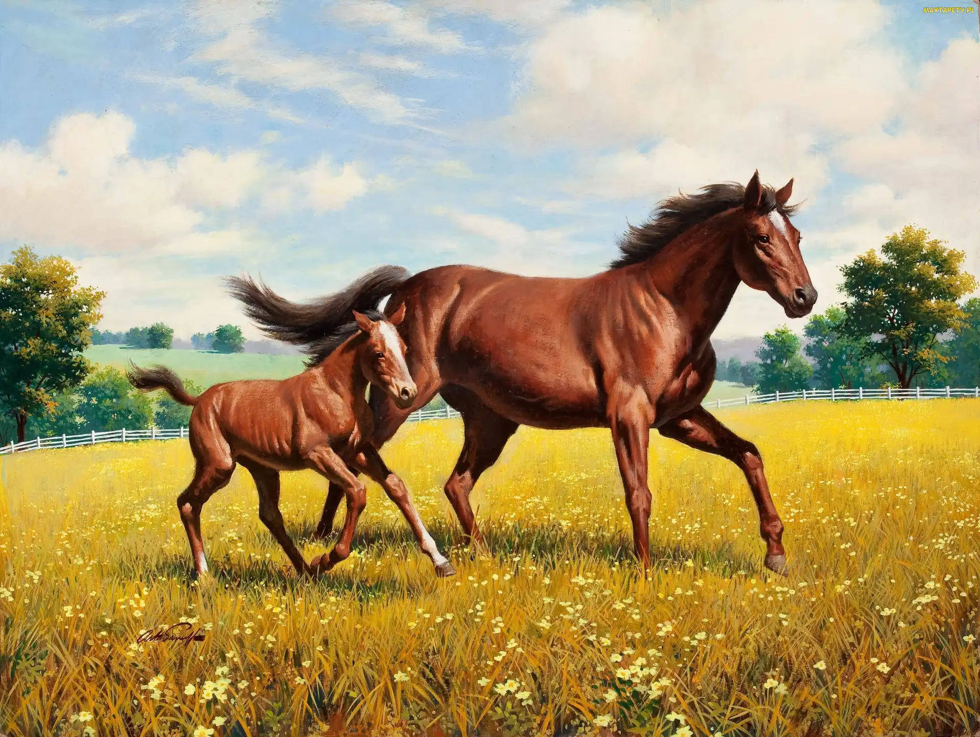 Koń, Źrebak, Arthur Saron Sarnoff, Malarstwo, Obraz, Łąka