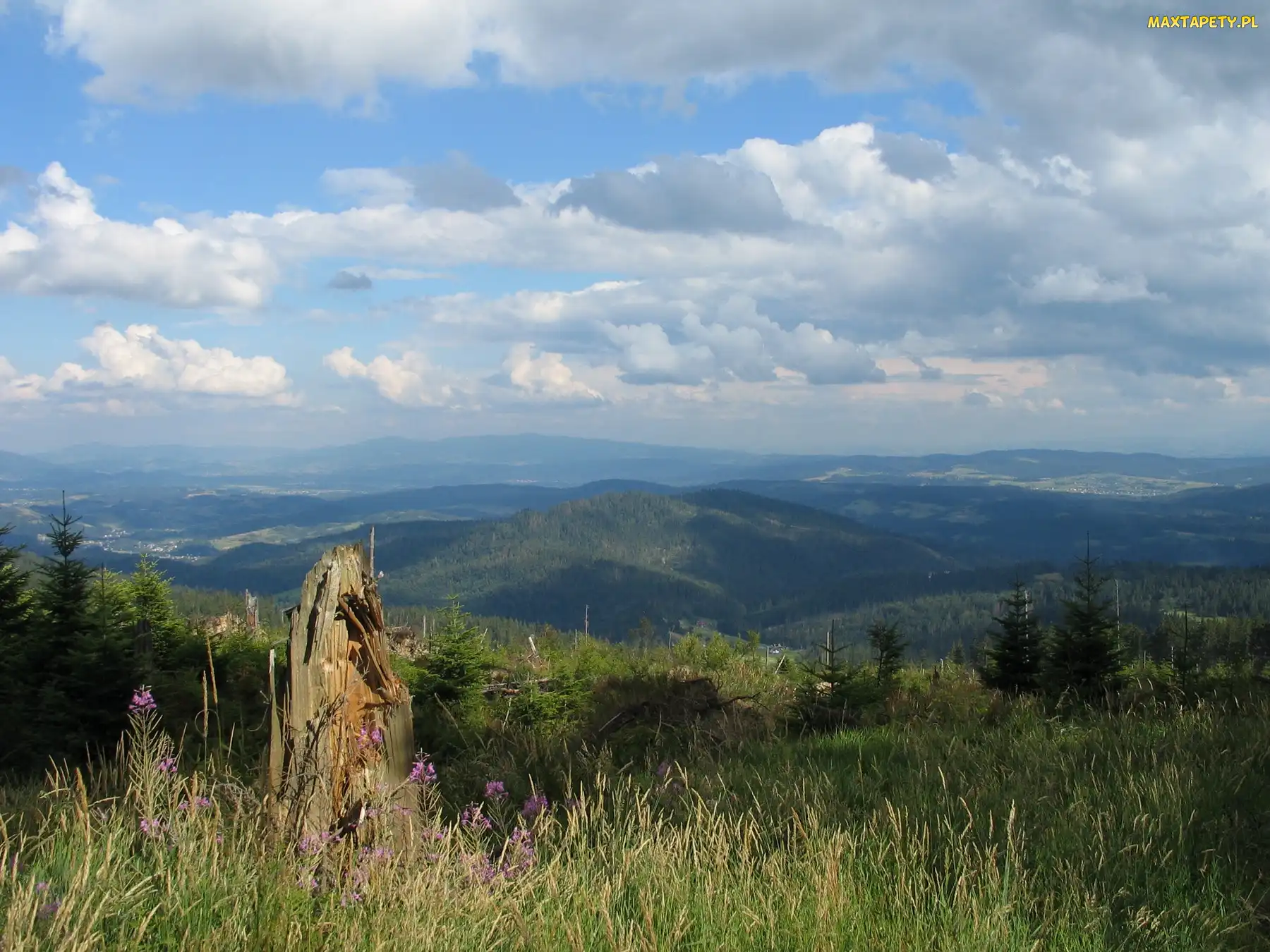 Łąka, Niebo, Góry, Lasy
