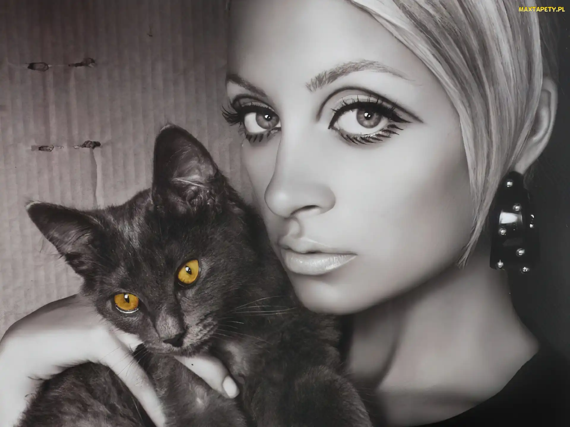 Nicole Richie, kotek