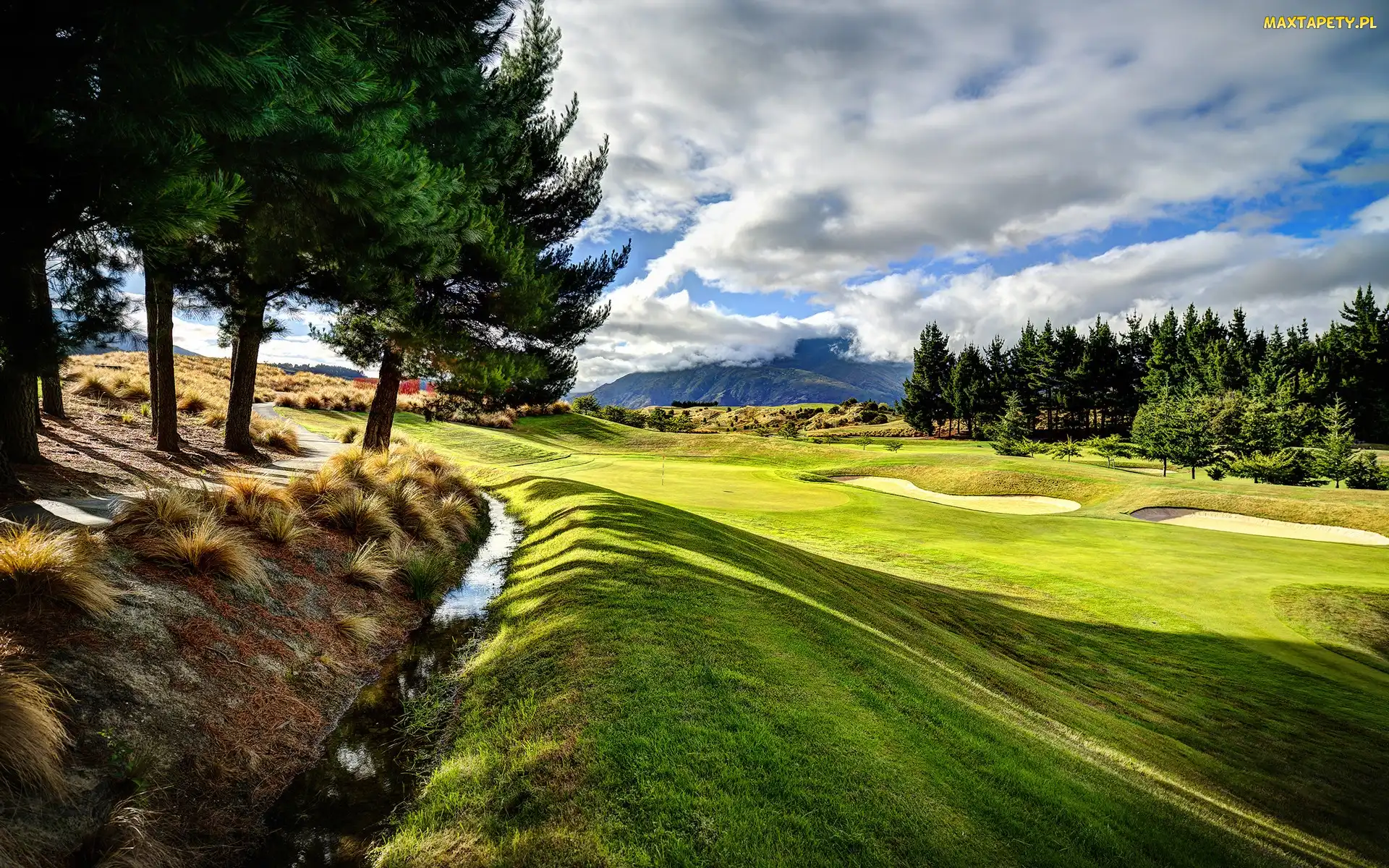 Pole, Chmury, Las, Golfowe, Łąka