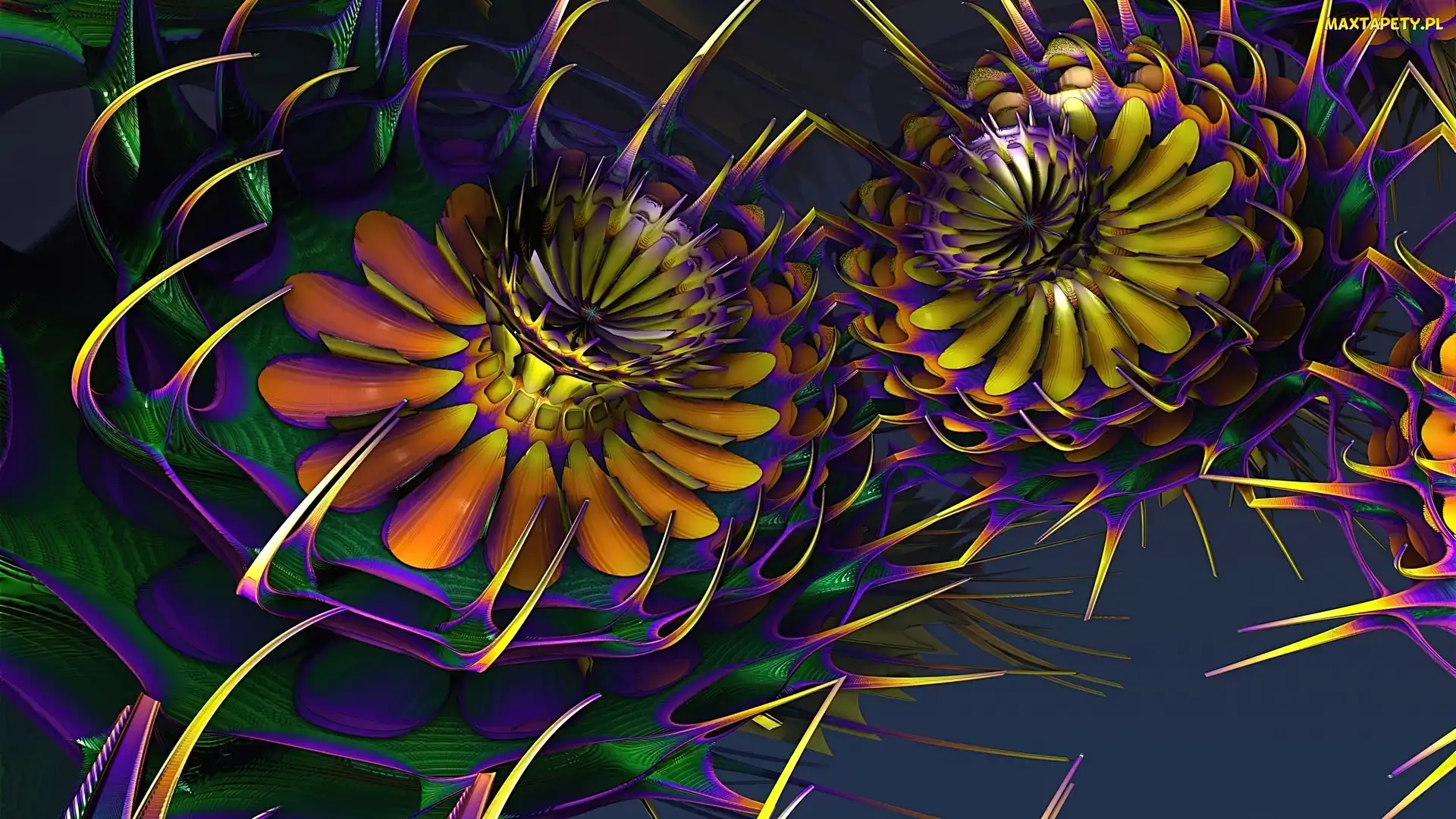 Kwiaty, Grafika, Abstrakcja