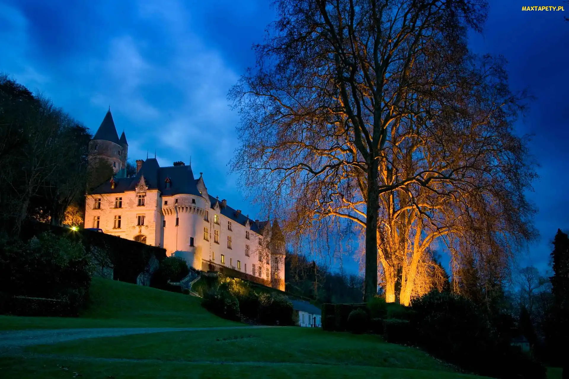 Oświetlony, Noc, Amboise, Francja, Zamek