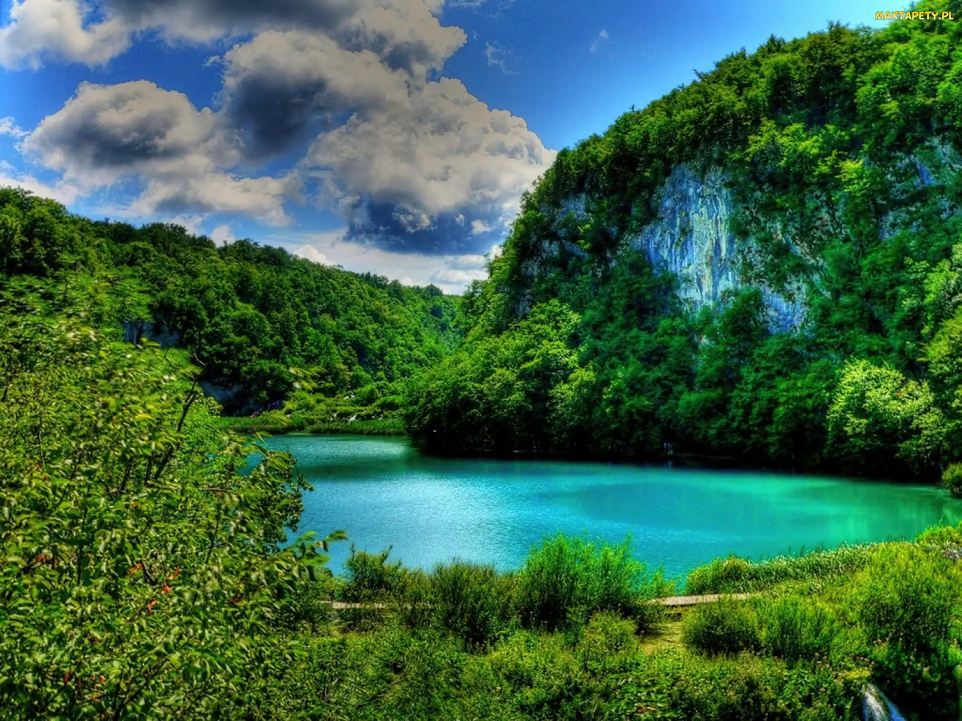 Zalesione, Góry, Jezioro