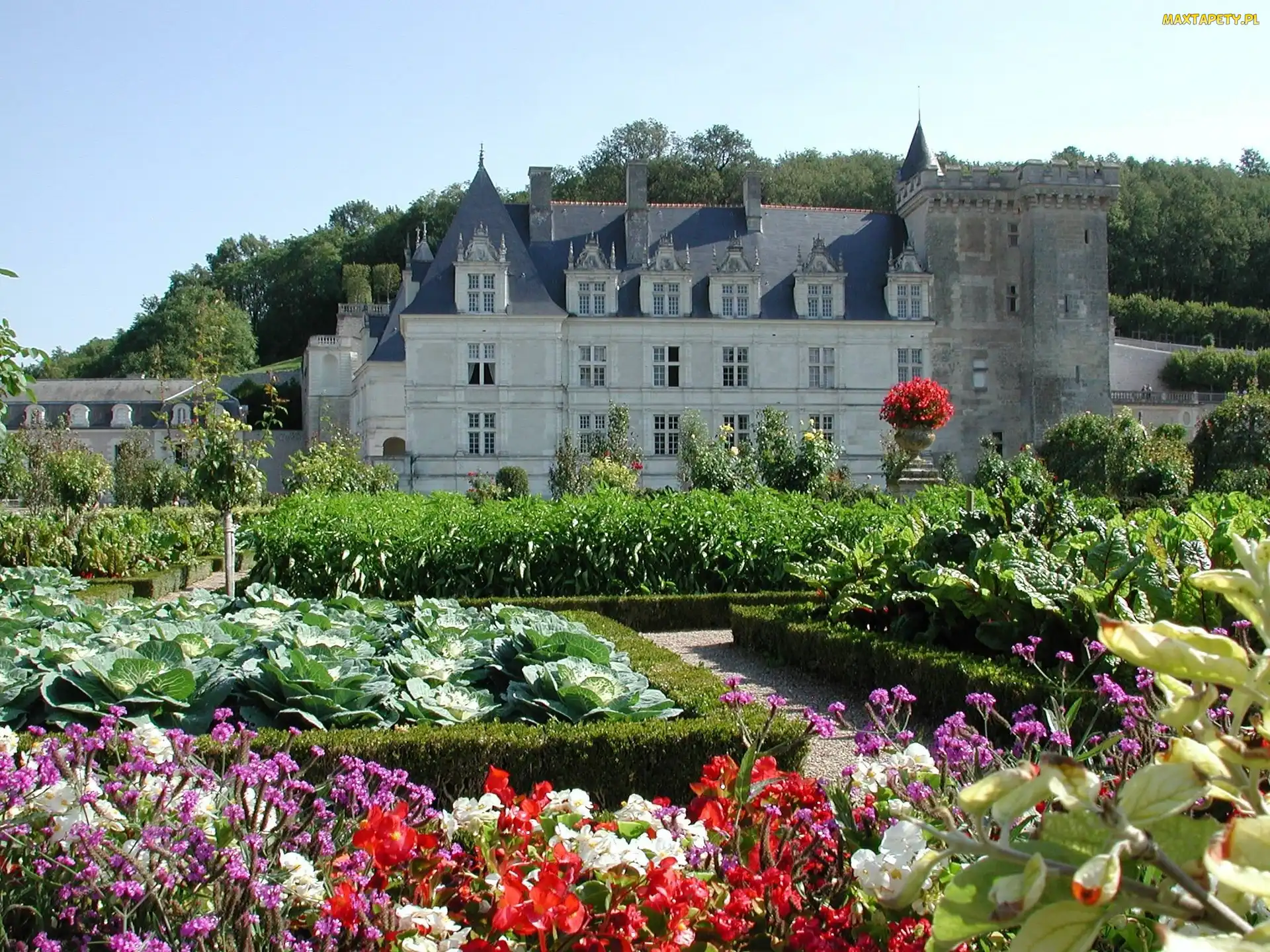 Château de Villandry, Ogród, Villandry, Francja, Zamek w Villandry