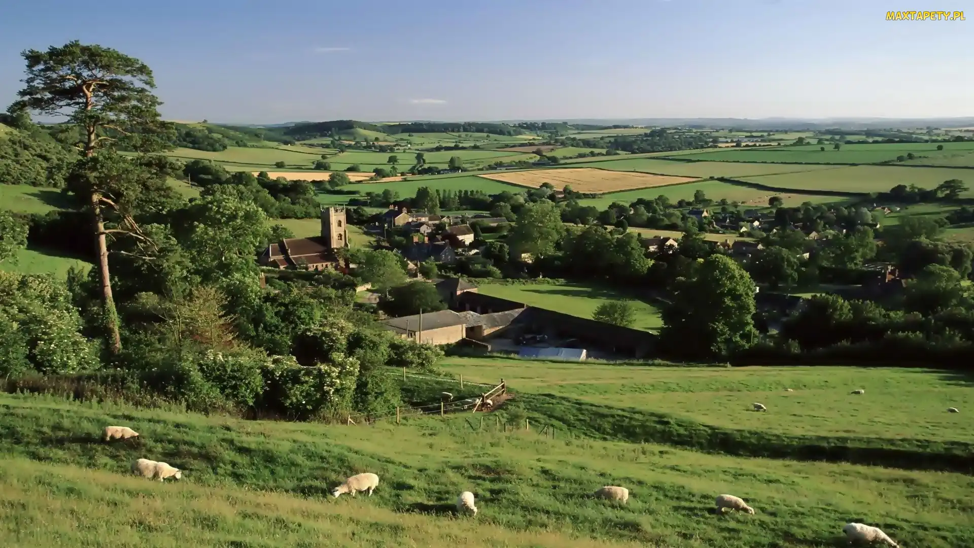 Wieś, Farmy i pola, Anglia, Hrabstwo Somerset