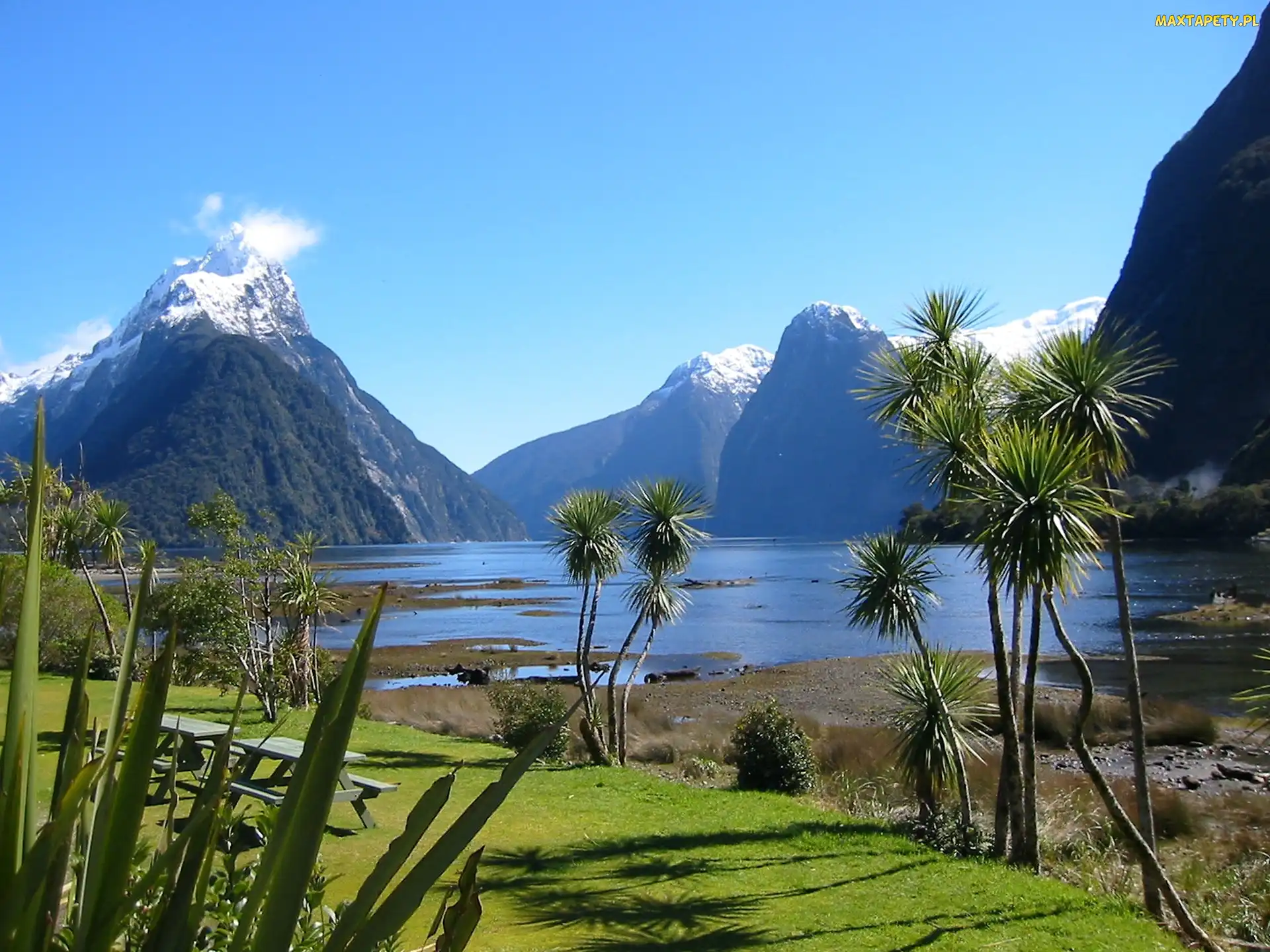 Góry, Nowa Zelandia, Milford Sound, Roślinność, Jezioro