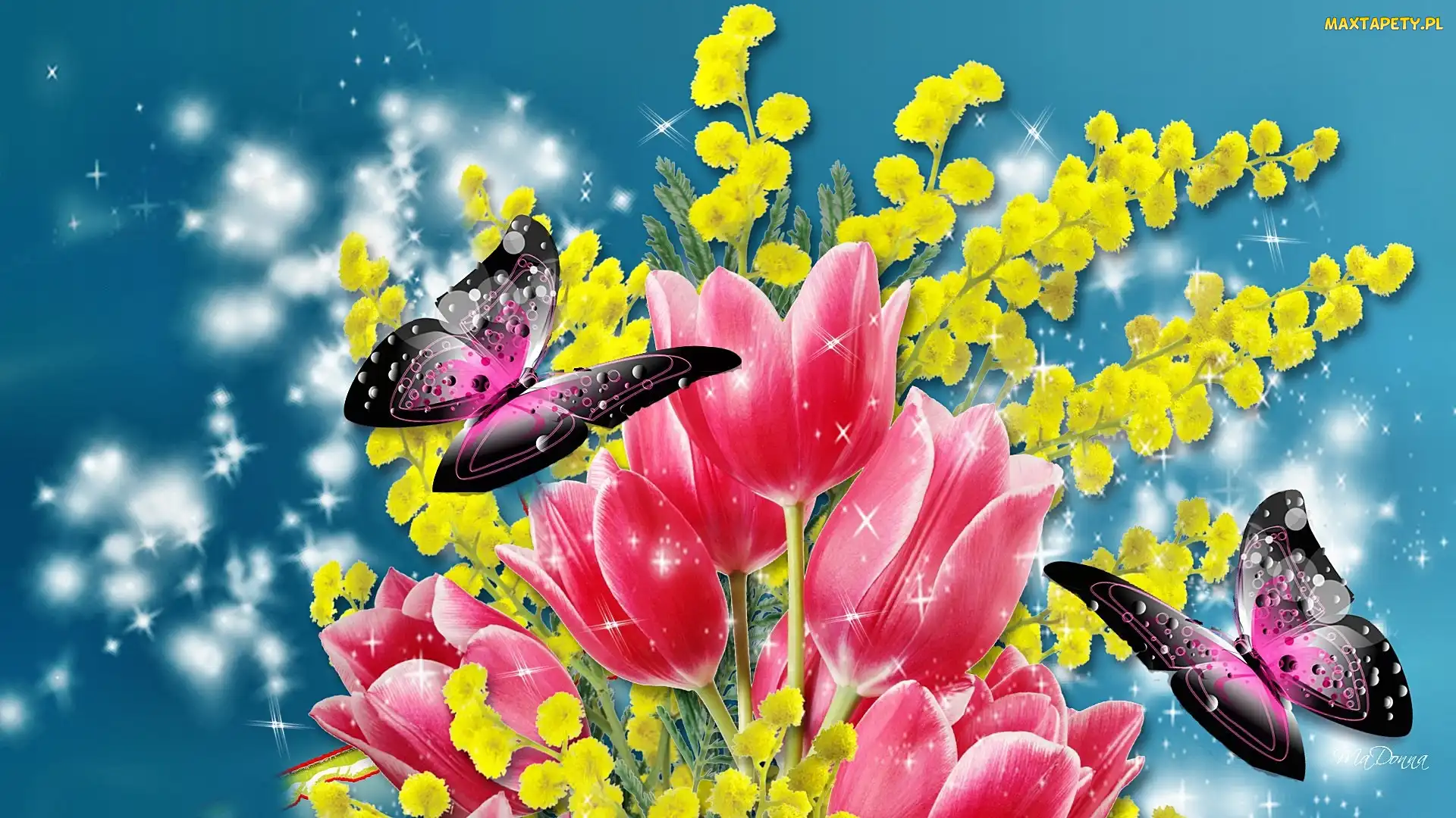 Motyle, Art, Tulipany