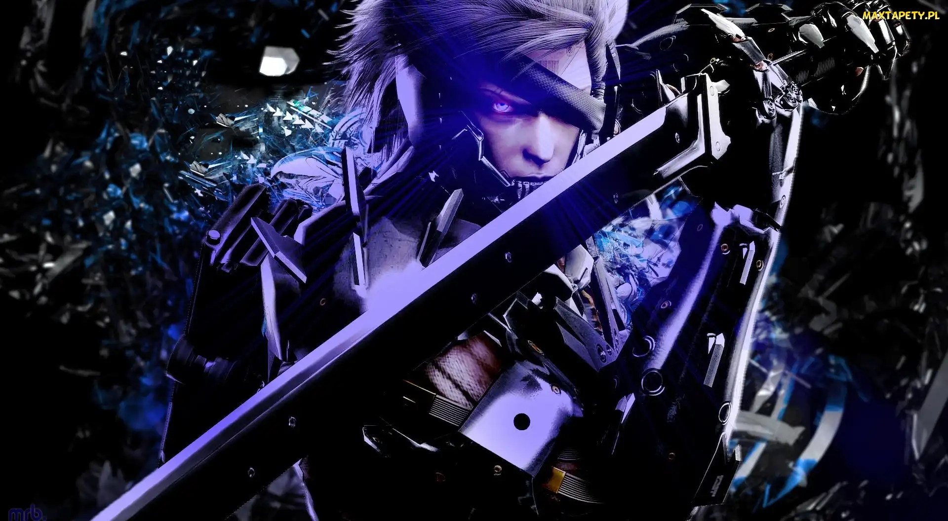 Metal Gear Rising Revengeance, Raiden