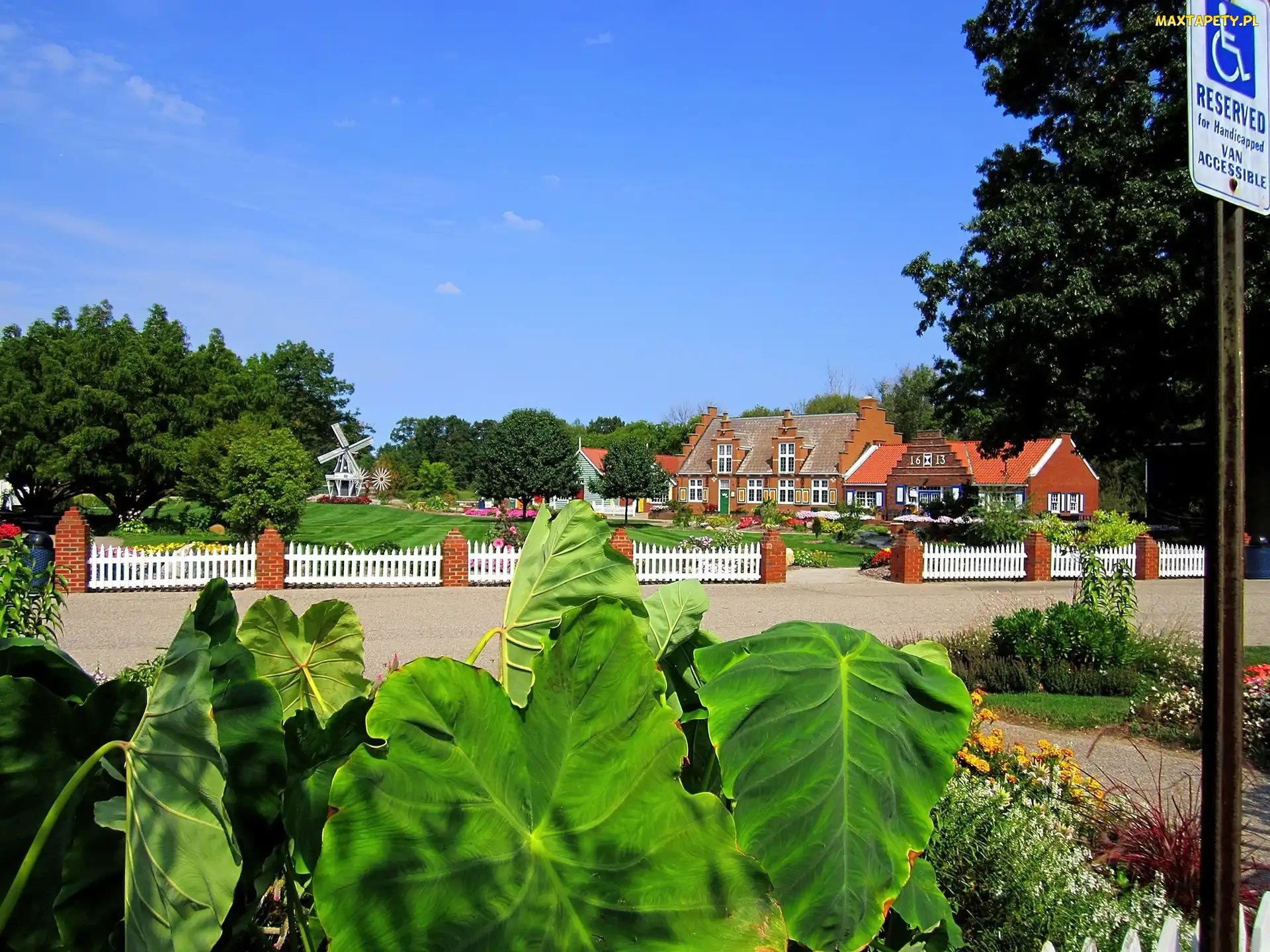 Ogród, USA, Michigan, Liście, Domy