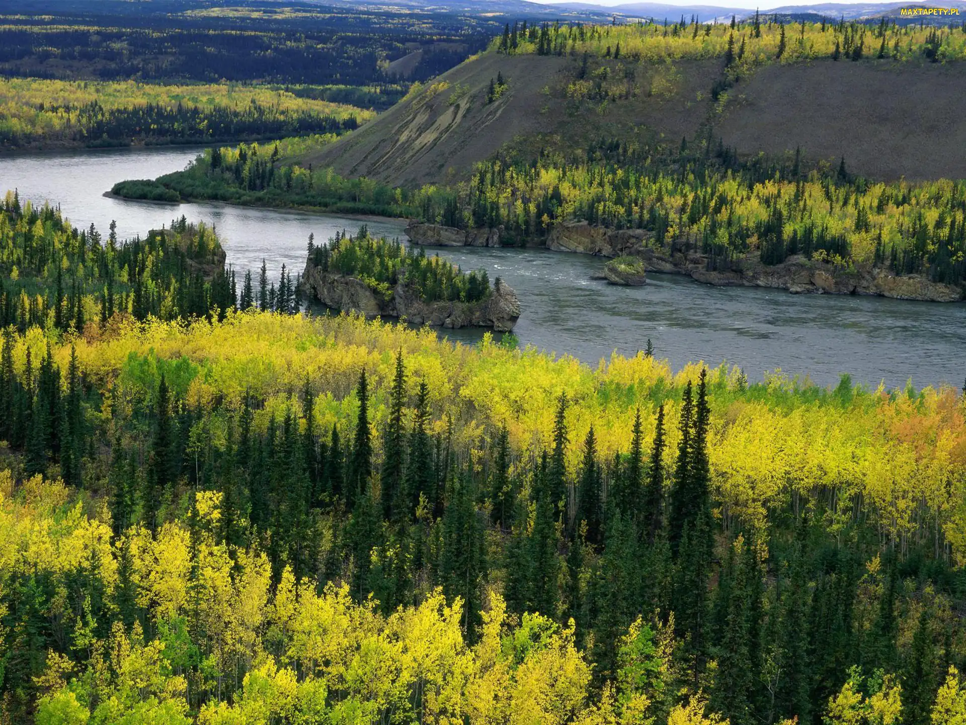 Kanada, Yukon, Rzeka, Lasy