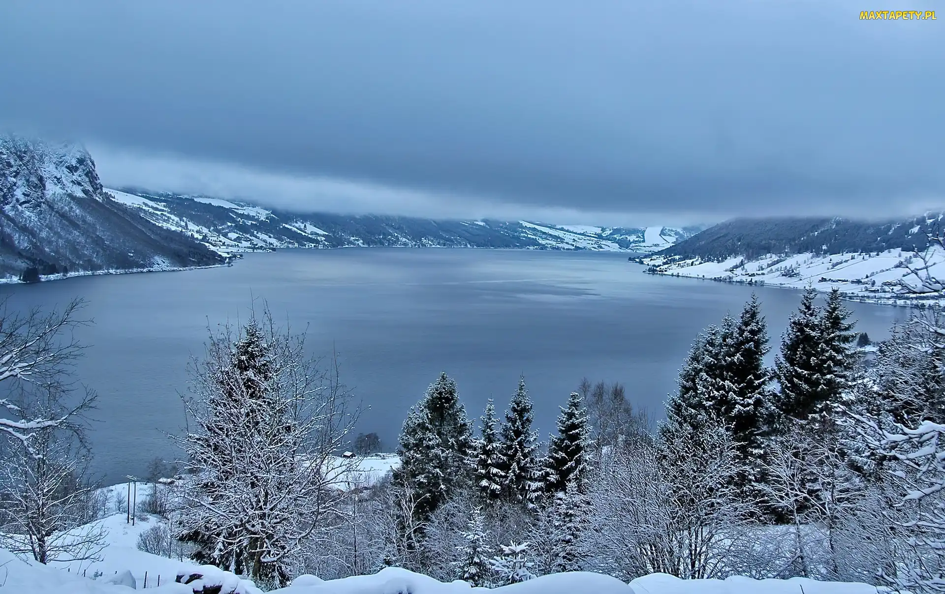Góry, Norwegia, Jolstravatnet, Drzewa, Zima Jezioro