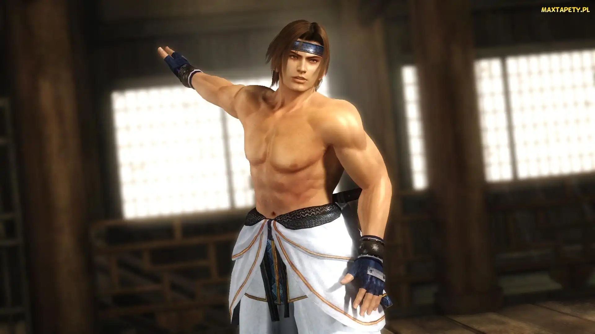 Hayate, Dead Or Alive 5