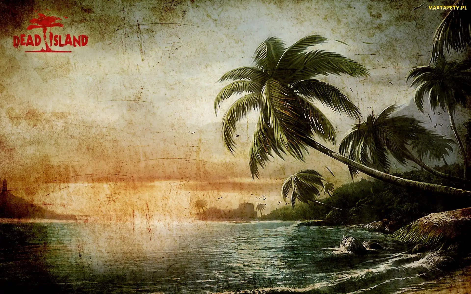 Wyspa, Palmy, Dead Island