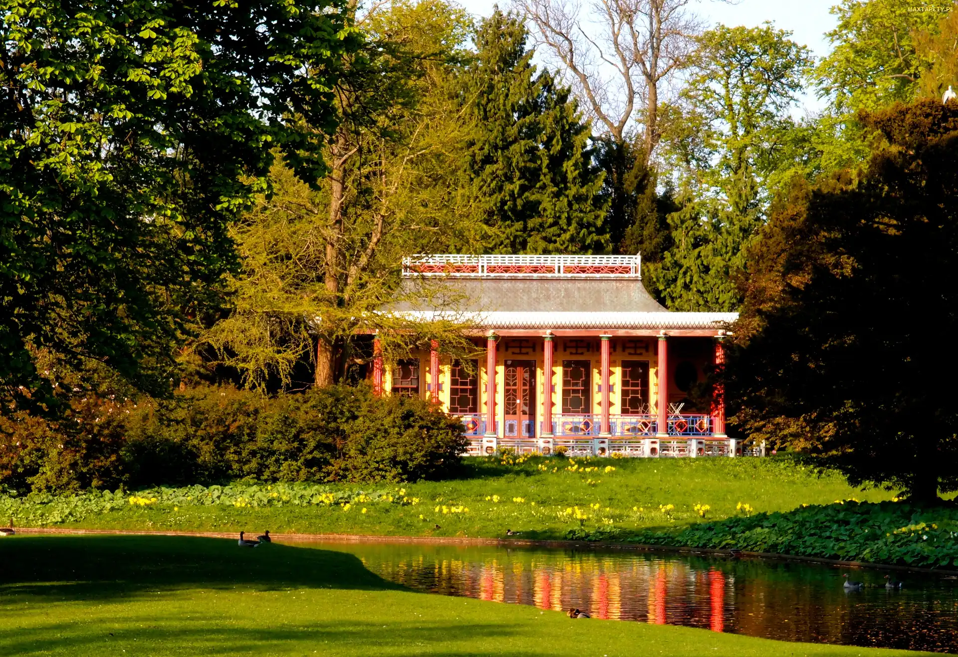 Chiński, Pawilon, Park, Kopenhaga, Frederiksberg, Garden