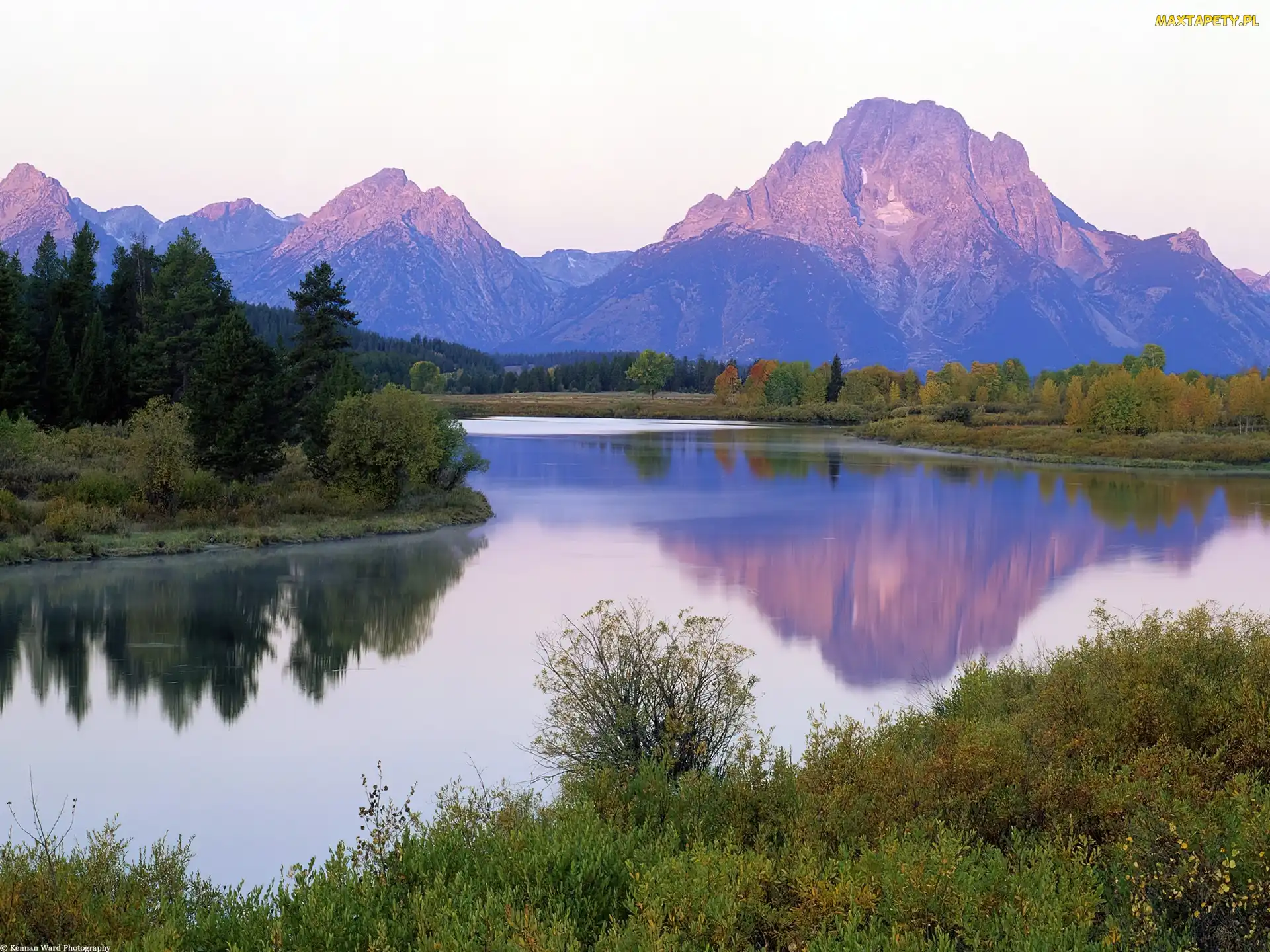 Góra Mount Moran, Góry, Stan Wyoming, Drzewa, Rzeka Snake River, Stany Zjednoczone, Park Narodowy Grand Teton