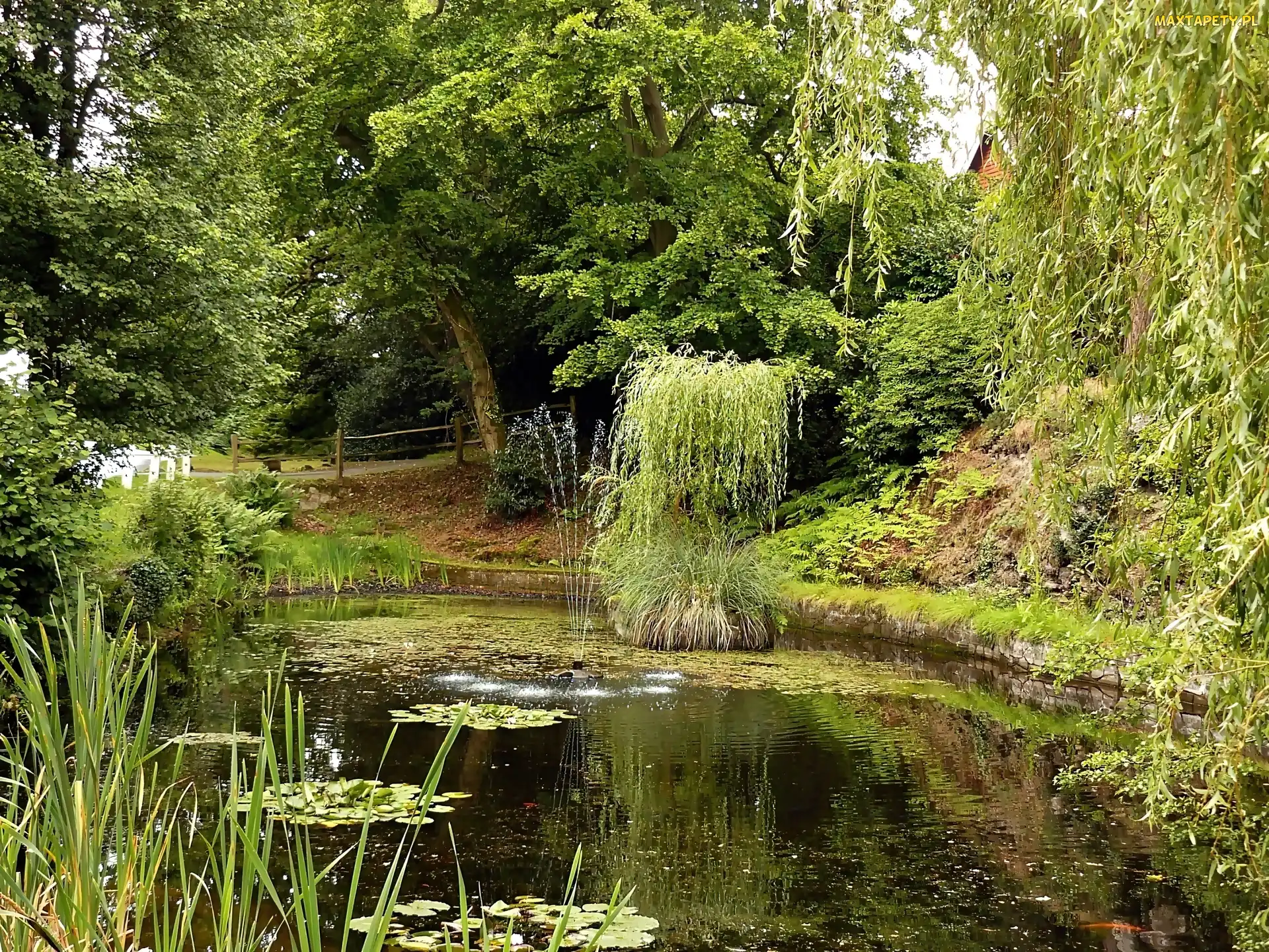 Fontanna, Pływająca, Park, Staw