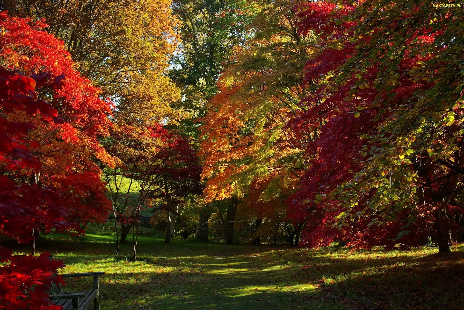 Ławka, Jesień, Park