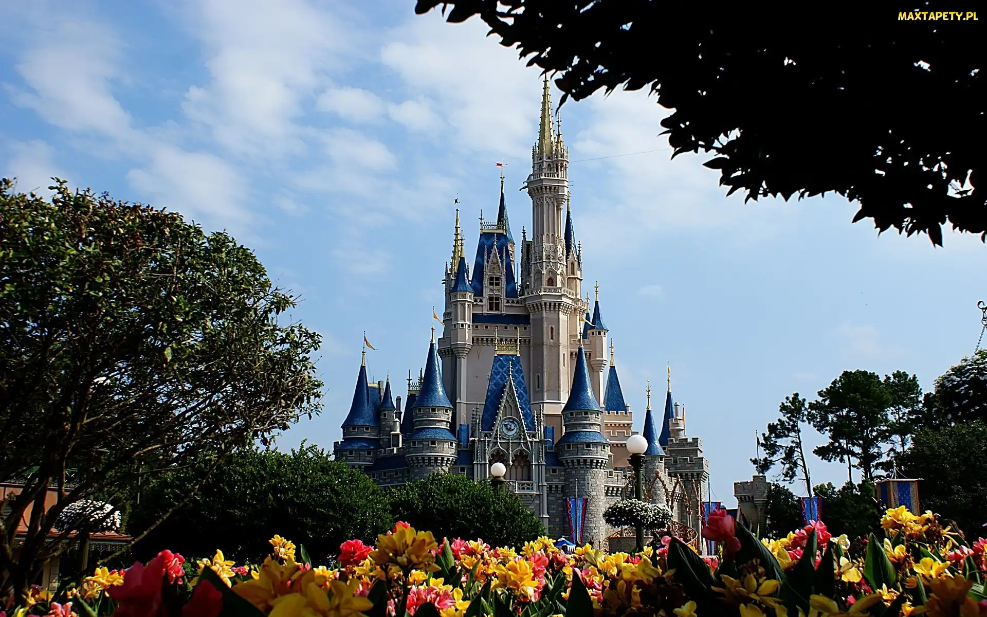 Zamek, Kwiaty, Disneyland