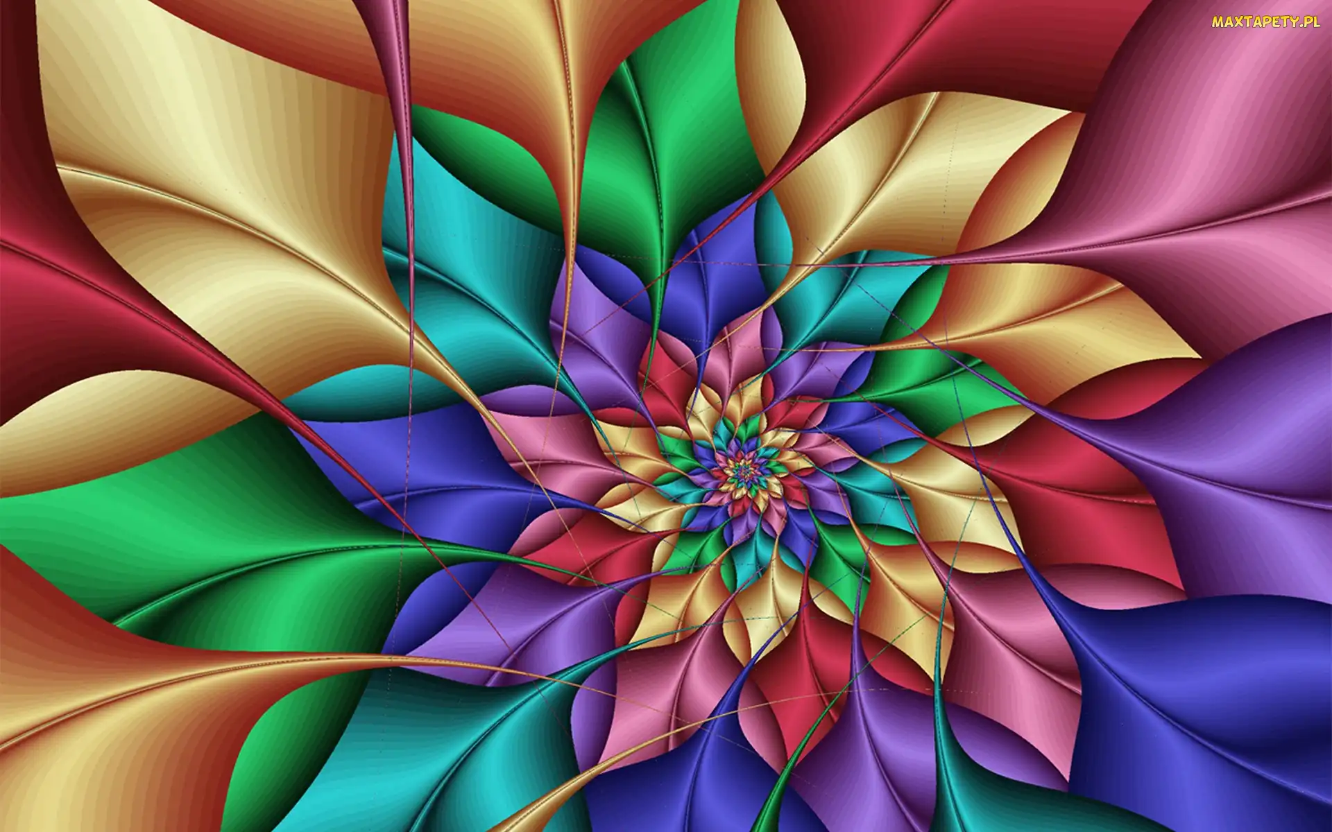 Grafika, 3D, Kolorowy, Kwiat