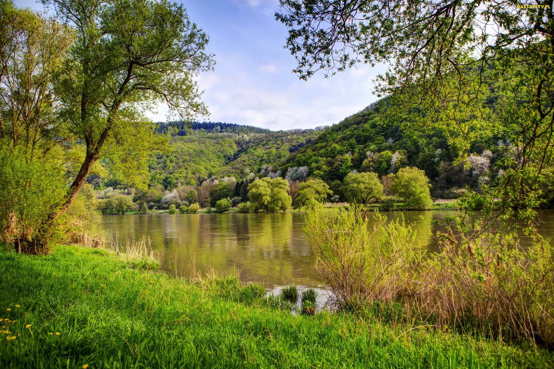 Góry, Drzewa, Jezioro