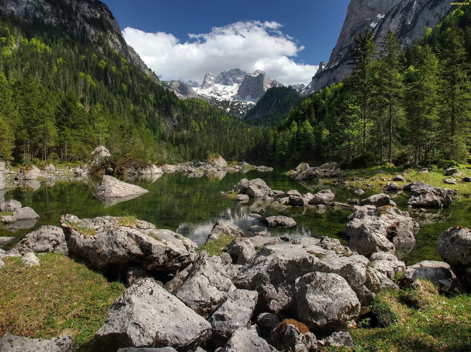 Lasy, Kamienie, Góry, Jezioro