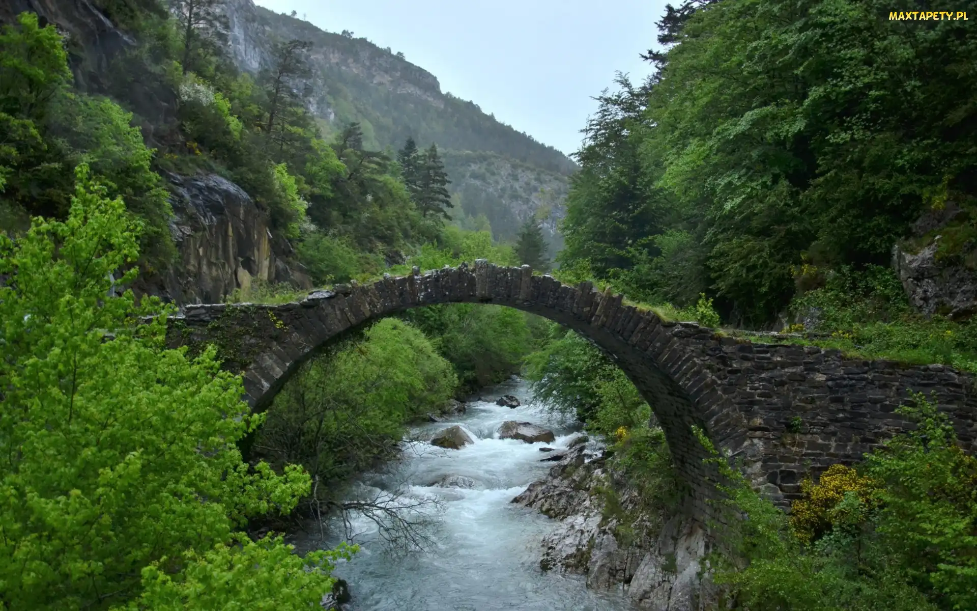 Rzeka, Lasy, Góry, Most