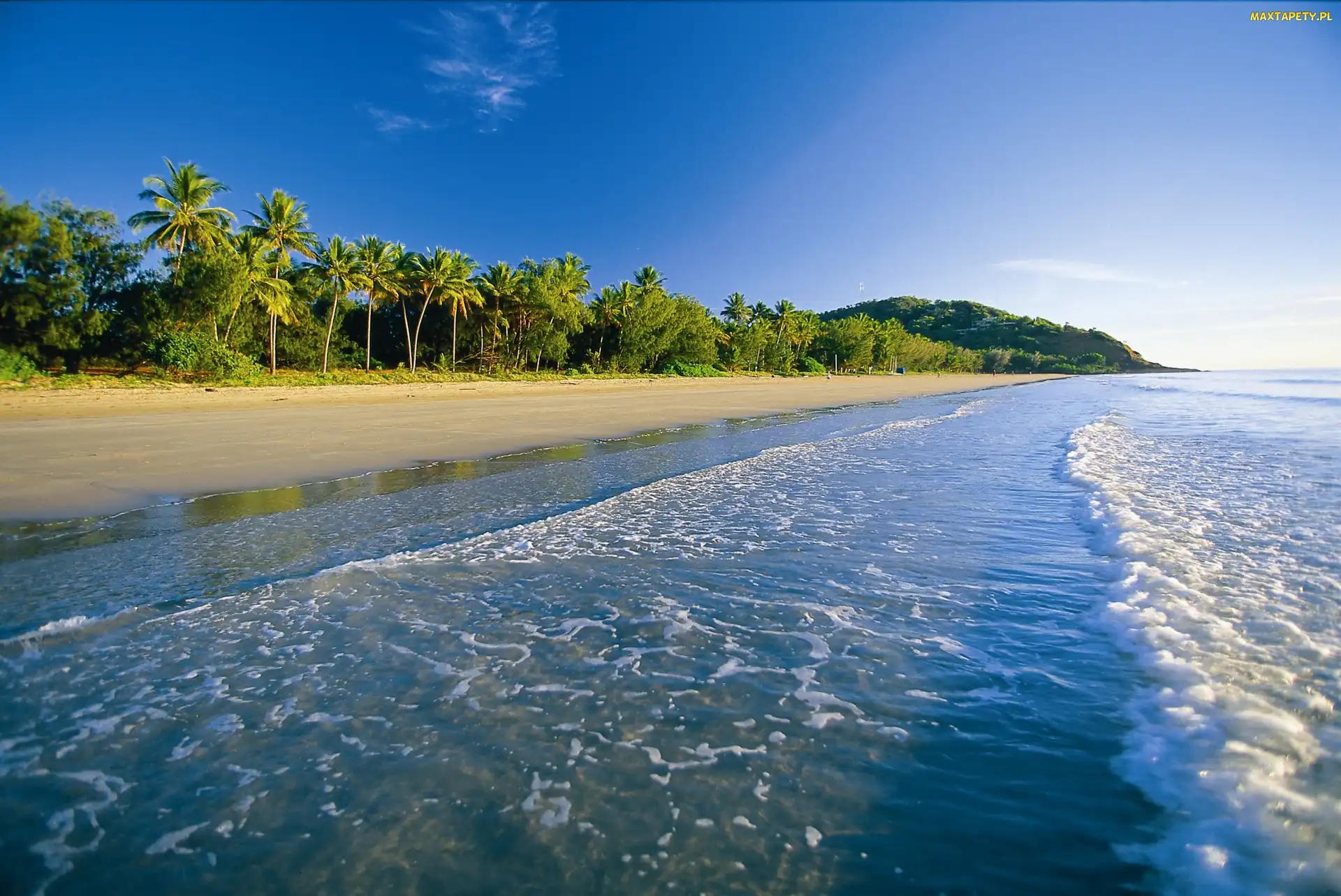 Morze, Palmy, Plaża