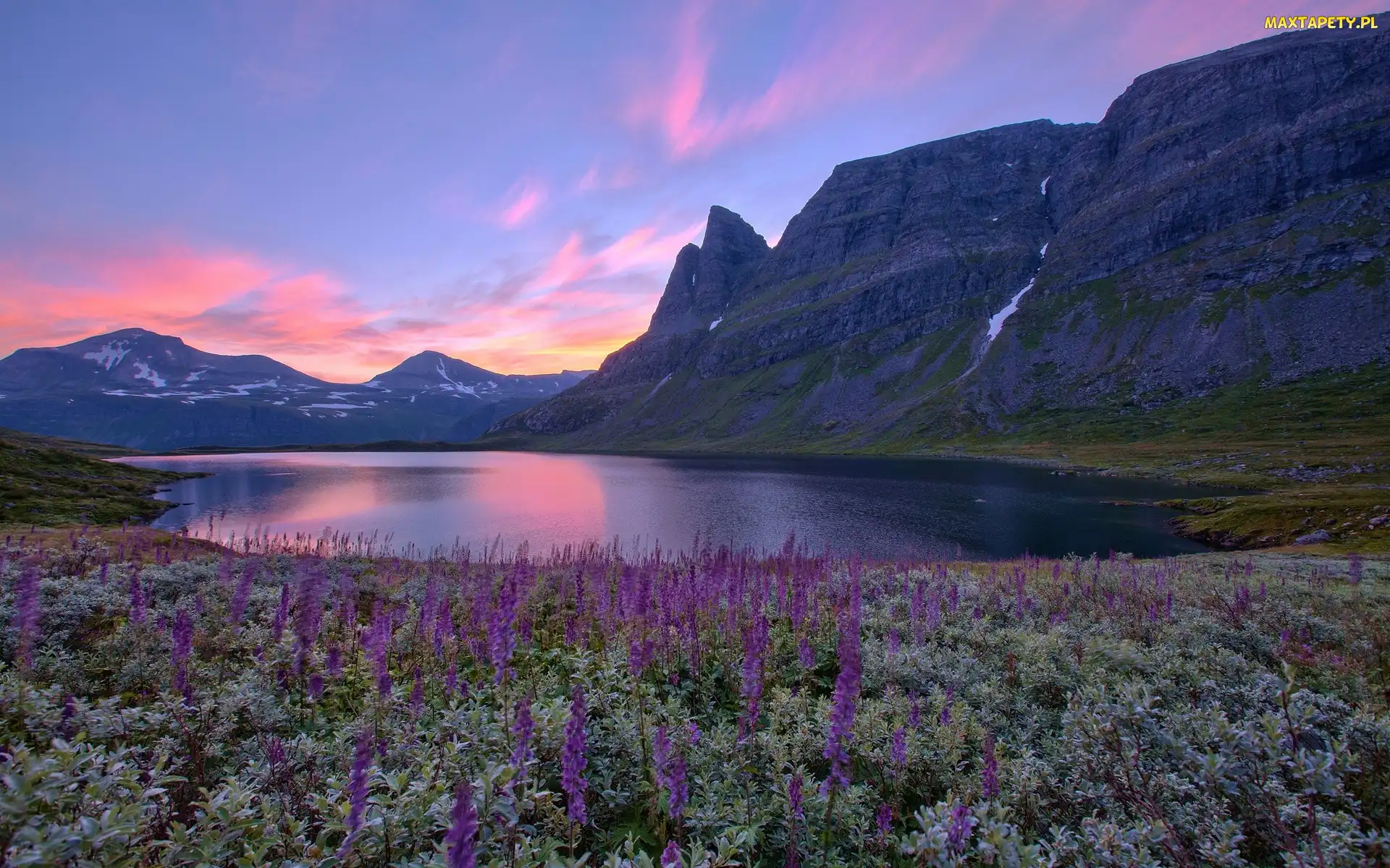 Norwegia, Góry, Łąka, Jezioro