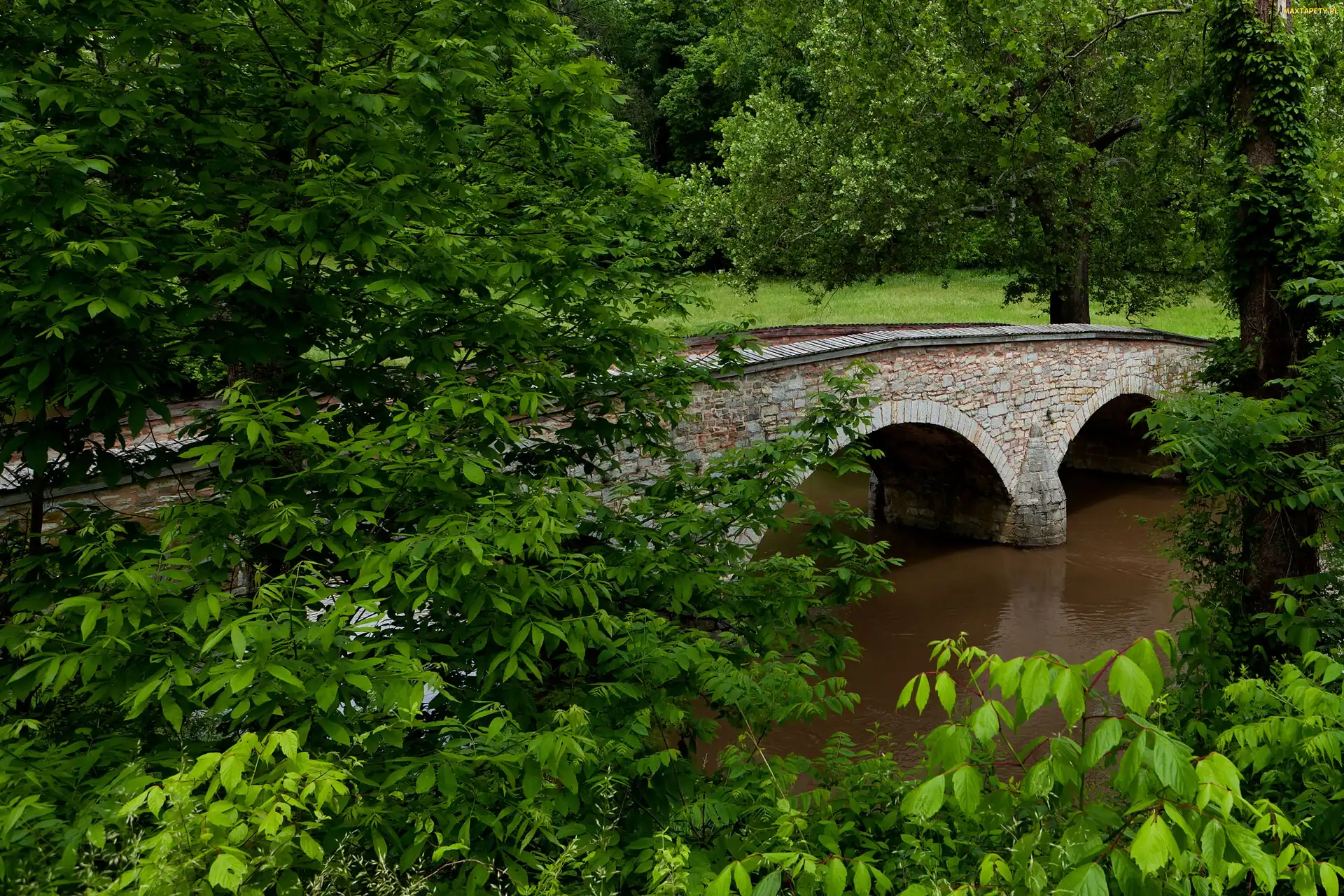 Park, Most, Rzeka