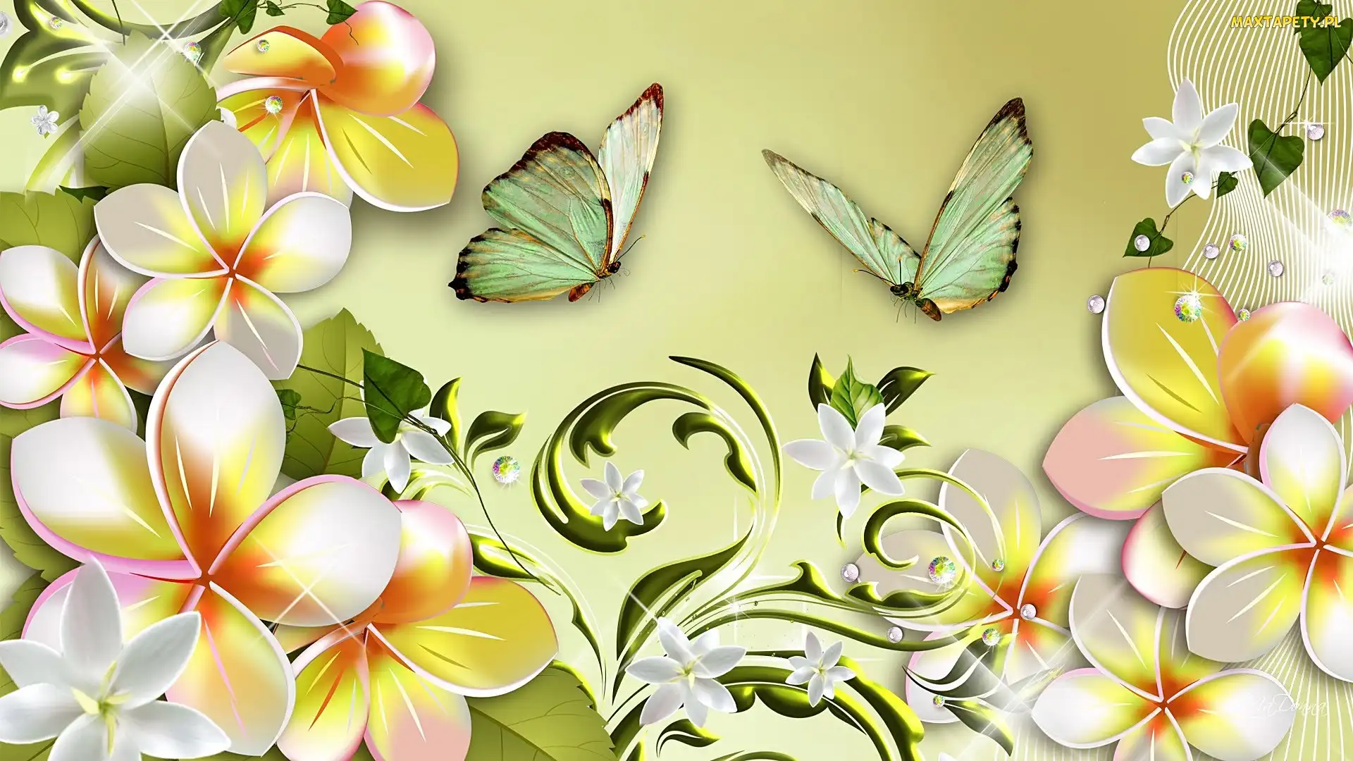 Art, Motyle, Kwiaty, Plumeria