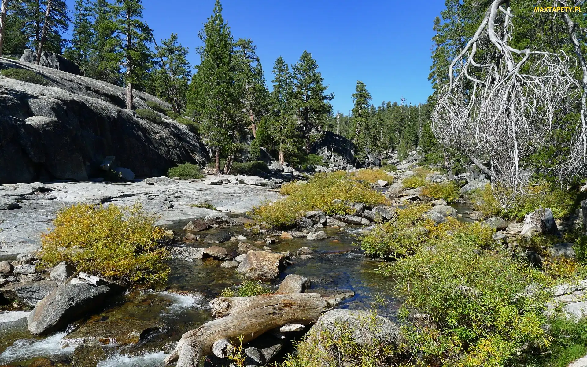 Las, Rzeka, Stan Kalifornia, Stany Zjednoczone, Park Narodowy Yosemite, Kamienie