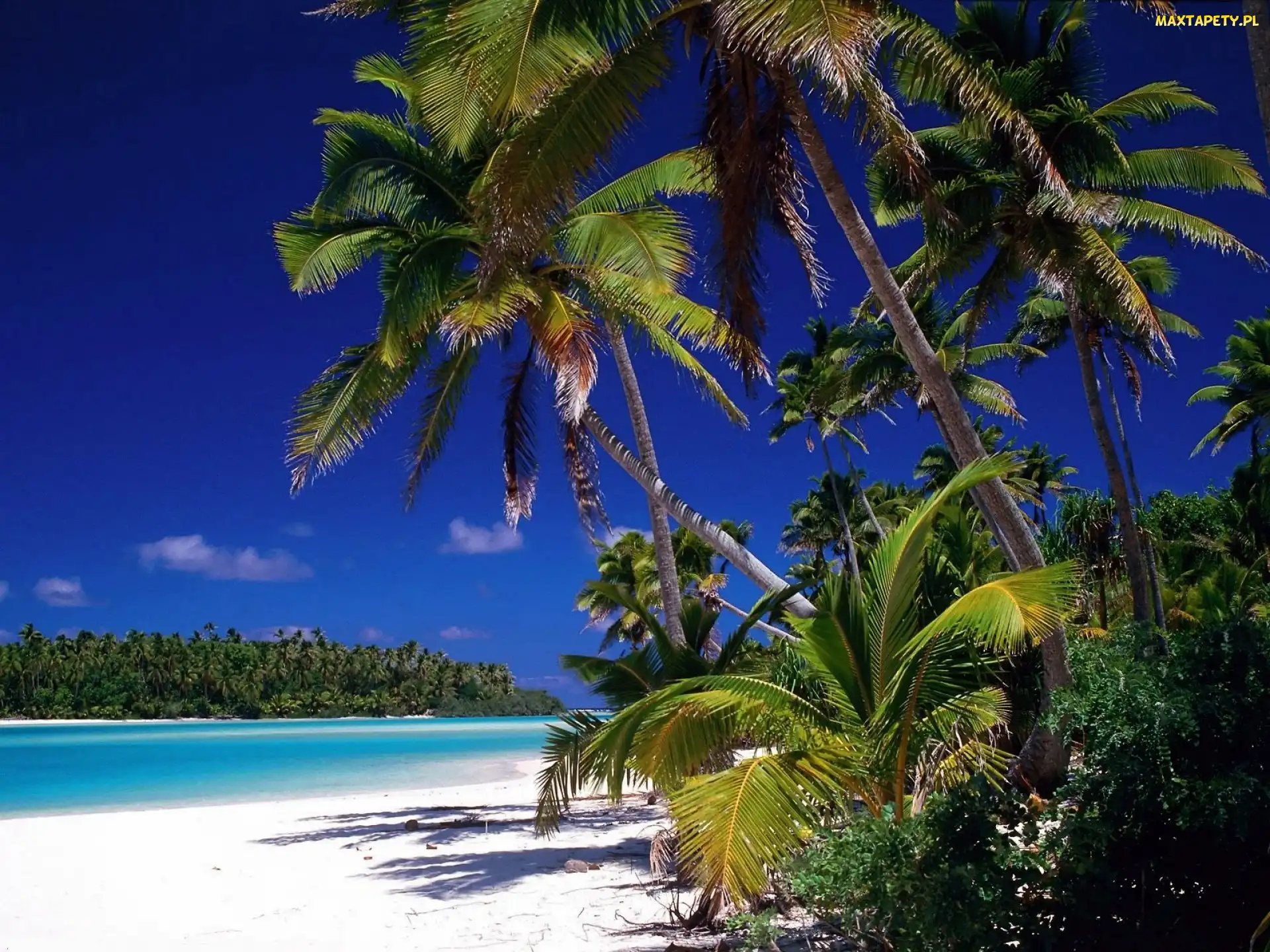 Dżungla, Plaża, Antyle, Małe, Barbados, Morze