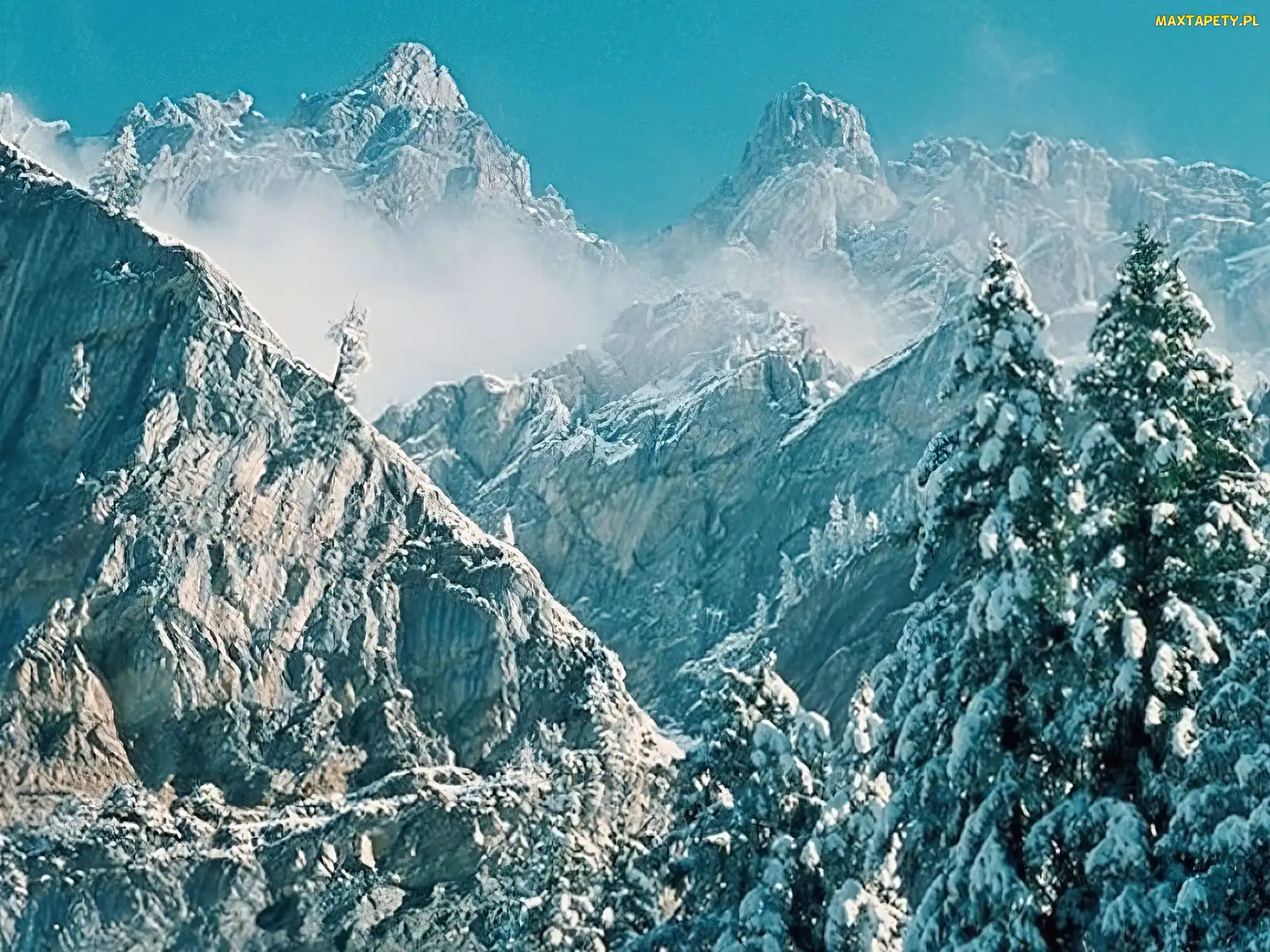 Zima, choinki, Góry