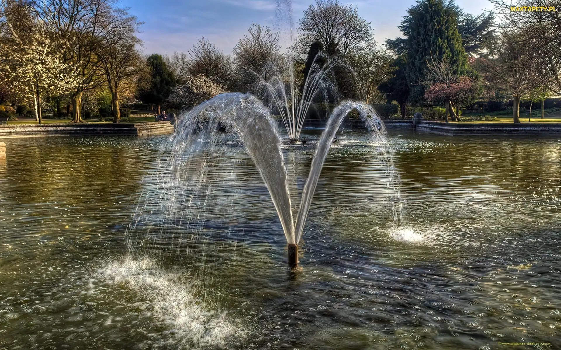 Słońca, Wodfotryski, Staw, Park, Zachód