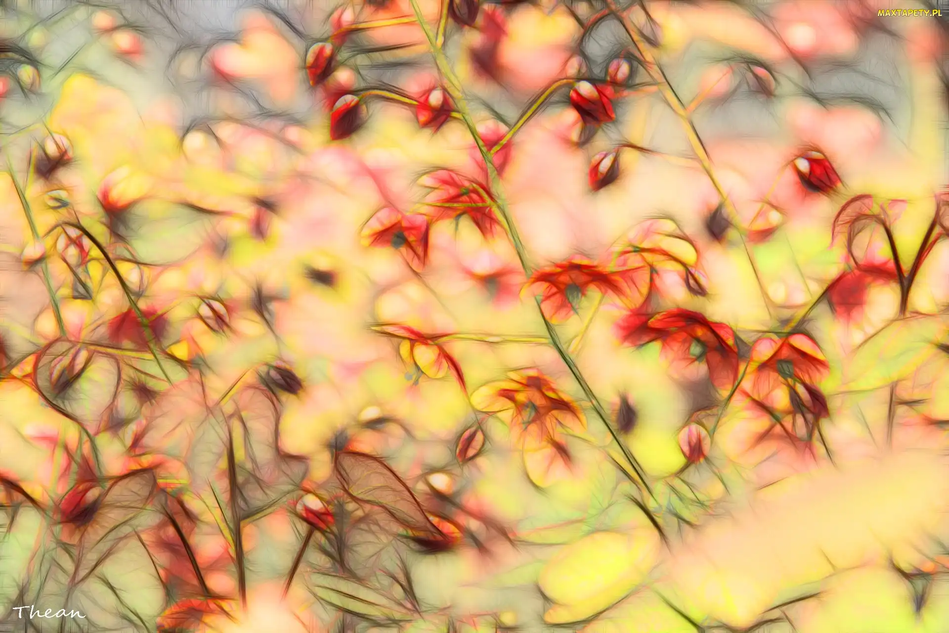 Czerwone, Fractalius, Kwiaty