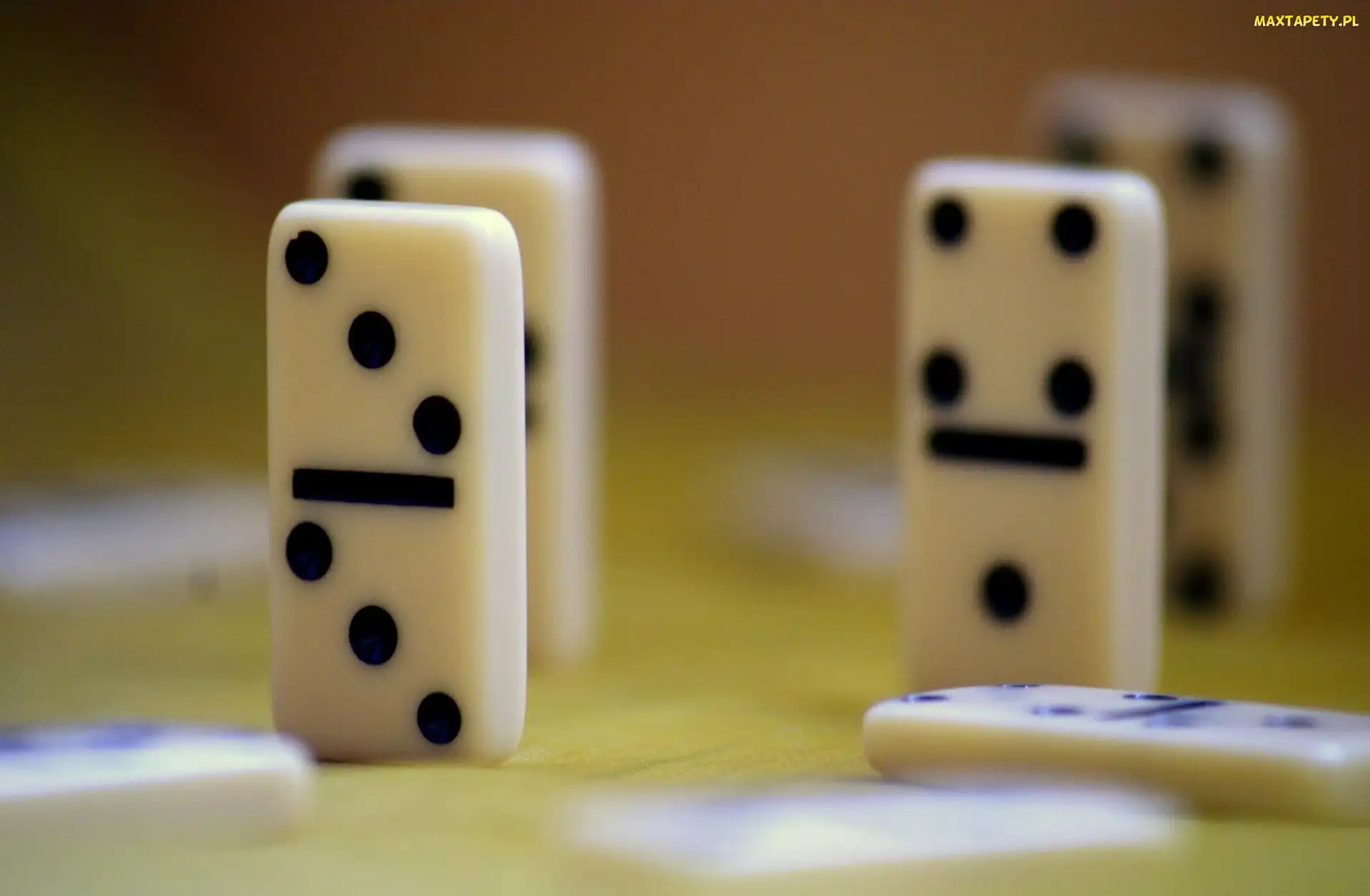 Brązowe, Tło, Domino