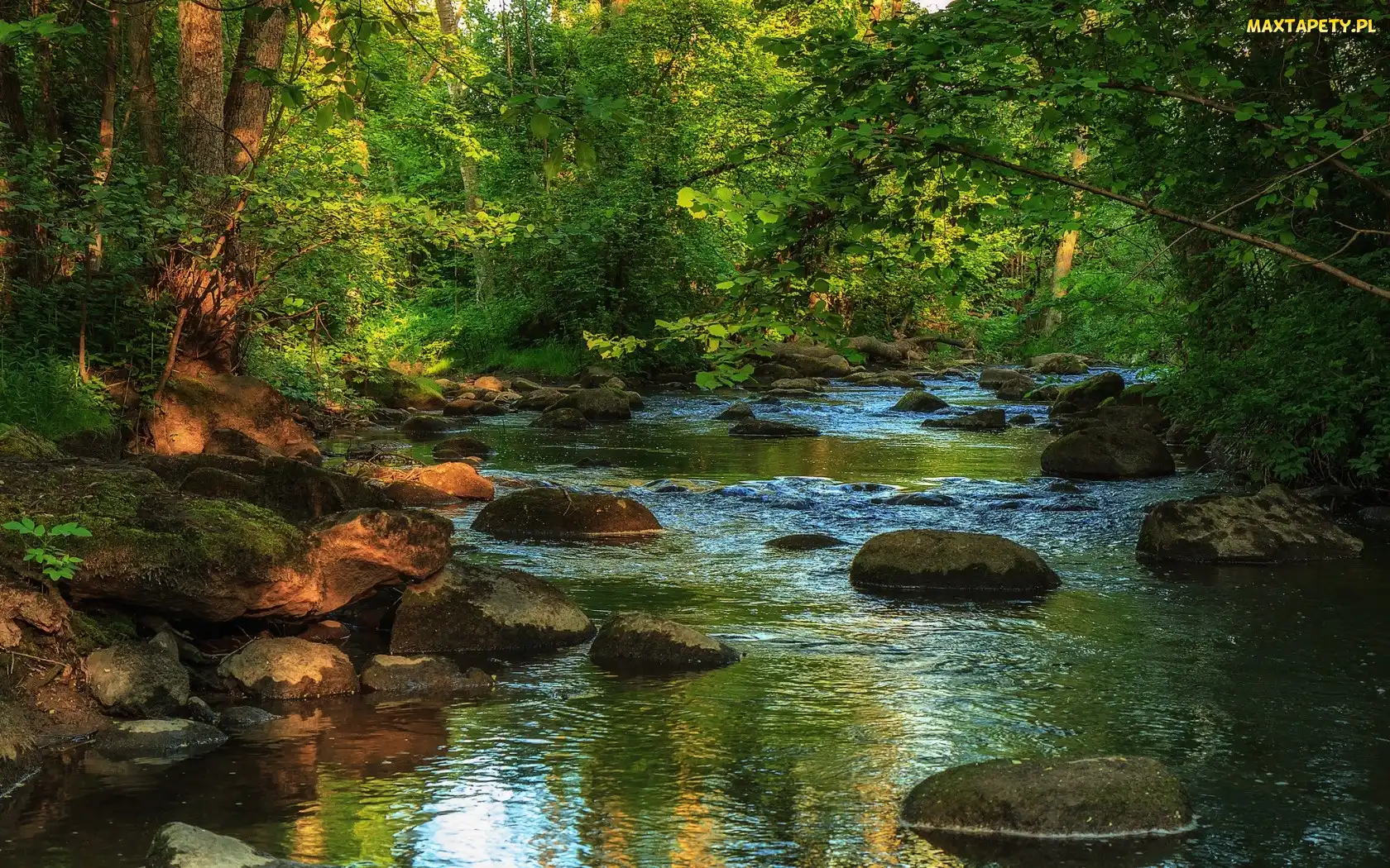 Las, Kamienie, Rzeka