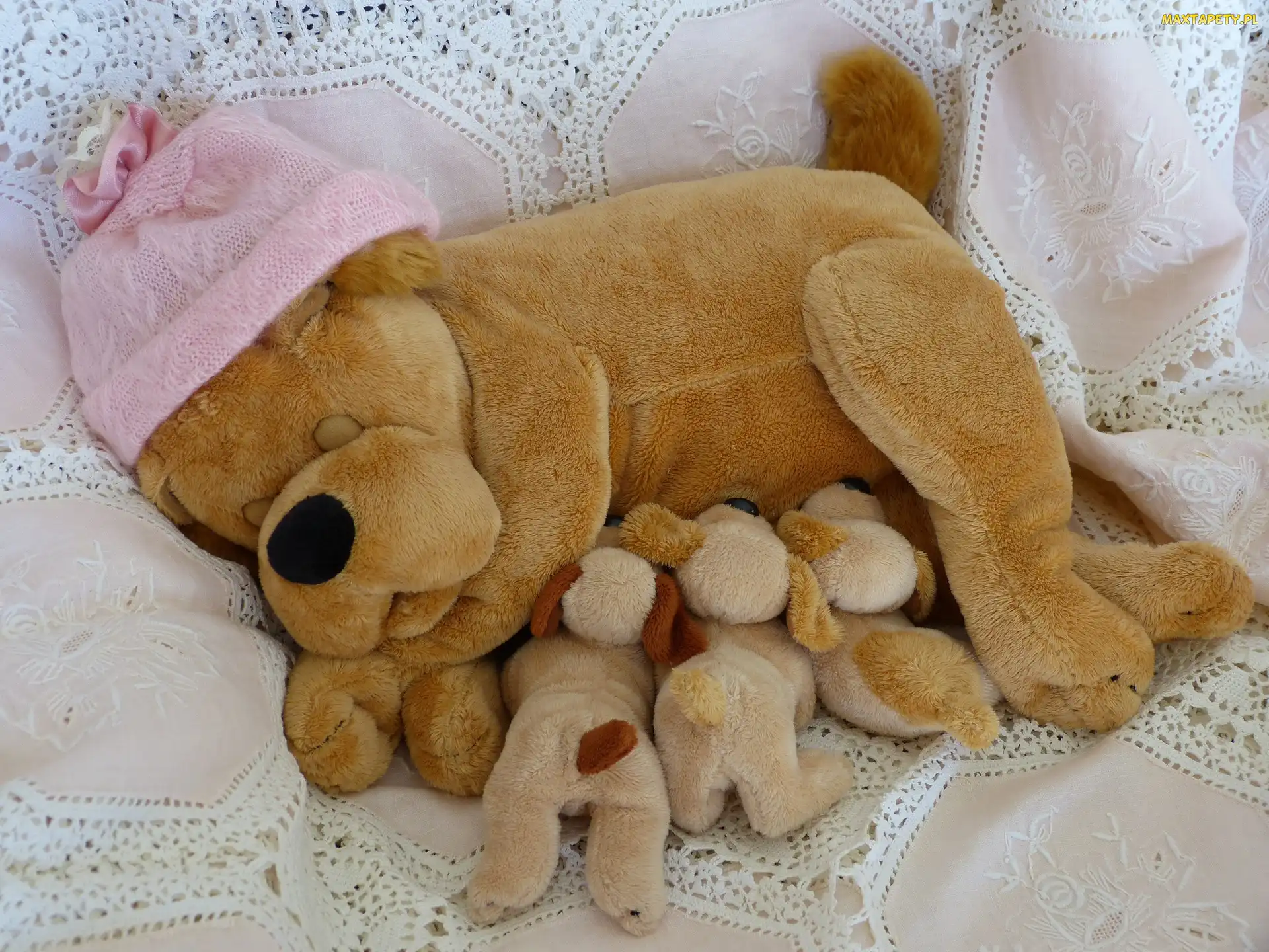 Różowa, Czapeczka, Pieski