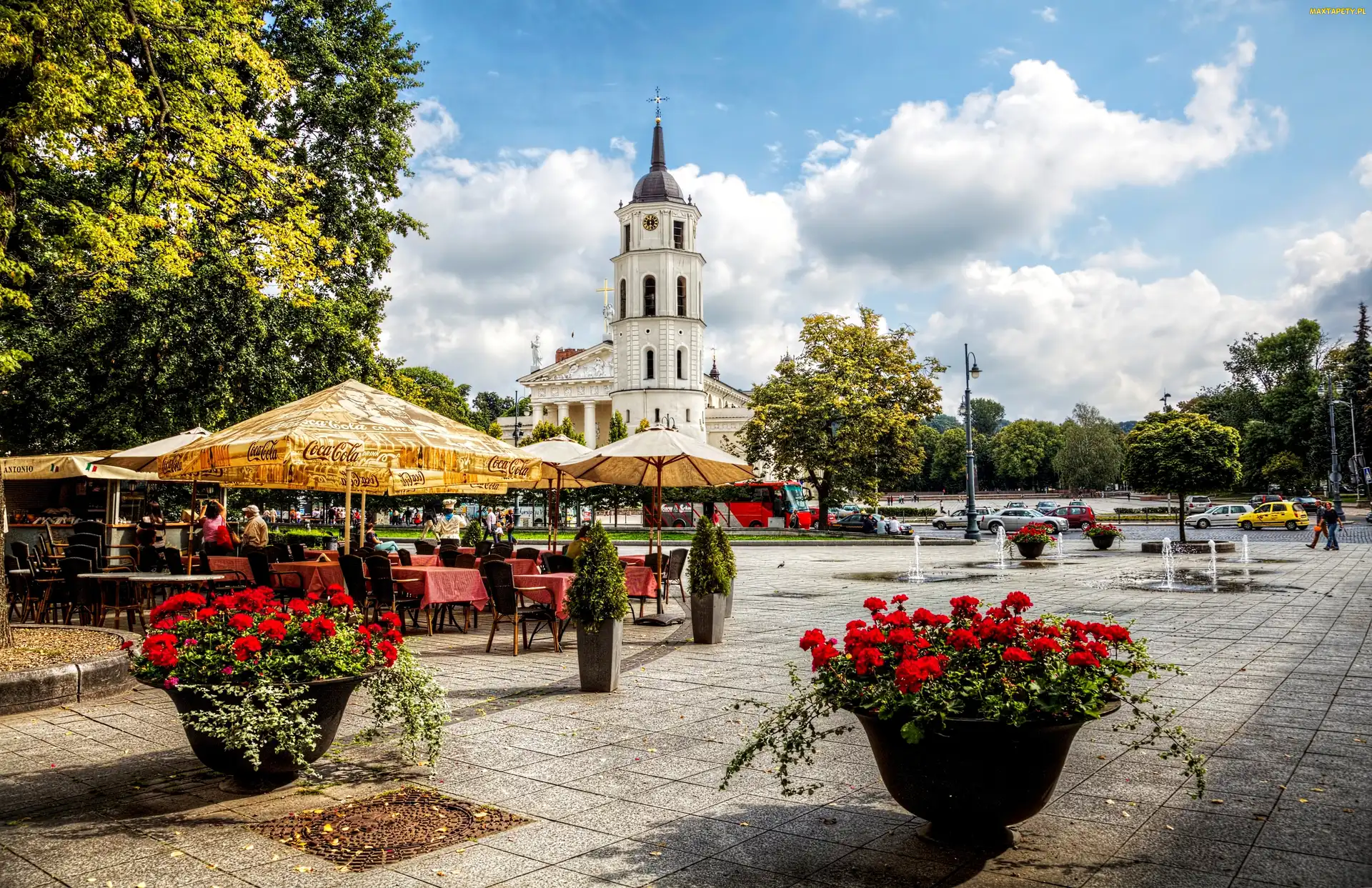 Z Pelargoniami, Kwietniki, Kościół, Wilno, Restauracja, Drzewa