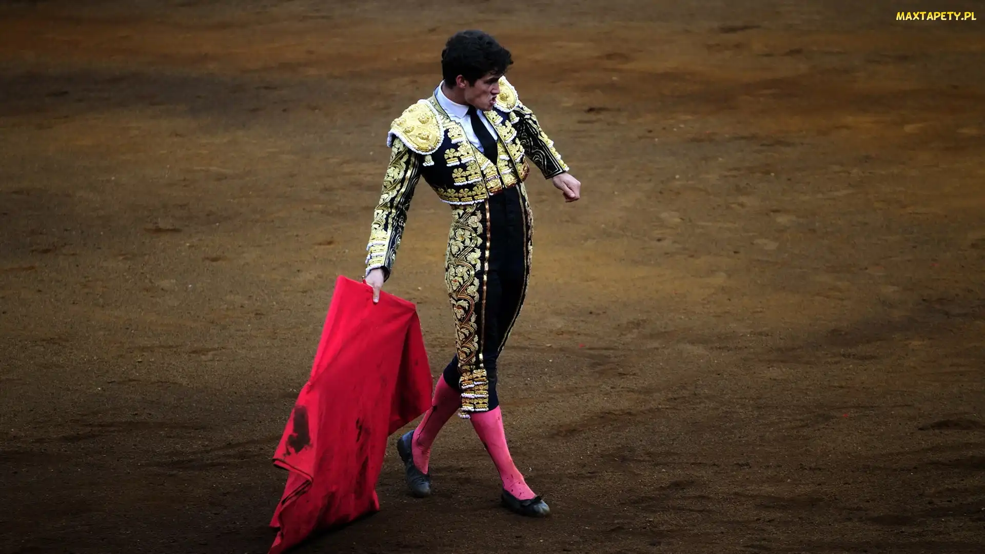 Torreador, Hiszpania, Corrida