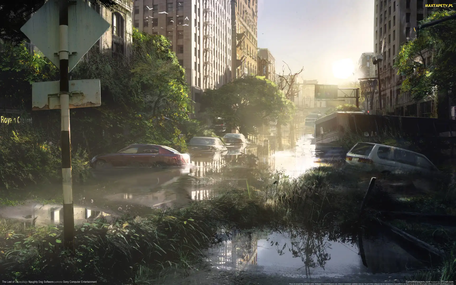 The Last Of Us, Miasto, Zniszczone
