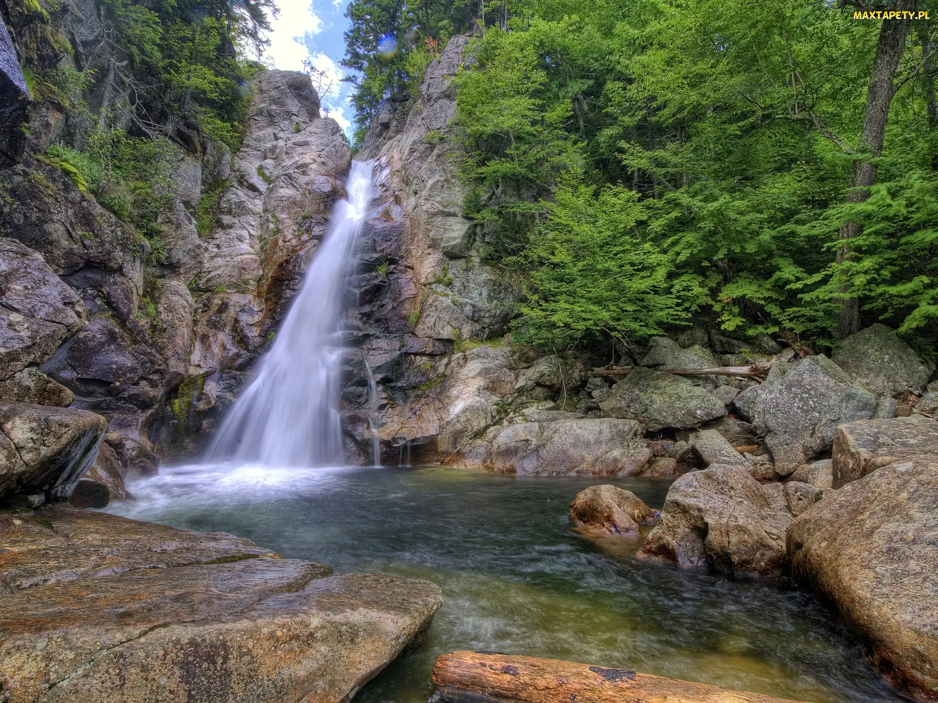 Krzewy, Drzewa, Wodospad, Kamienie