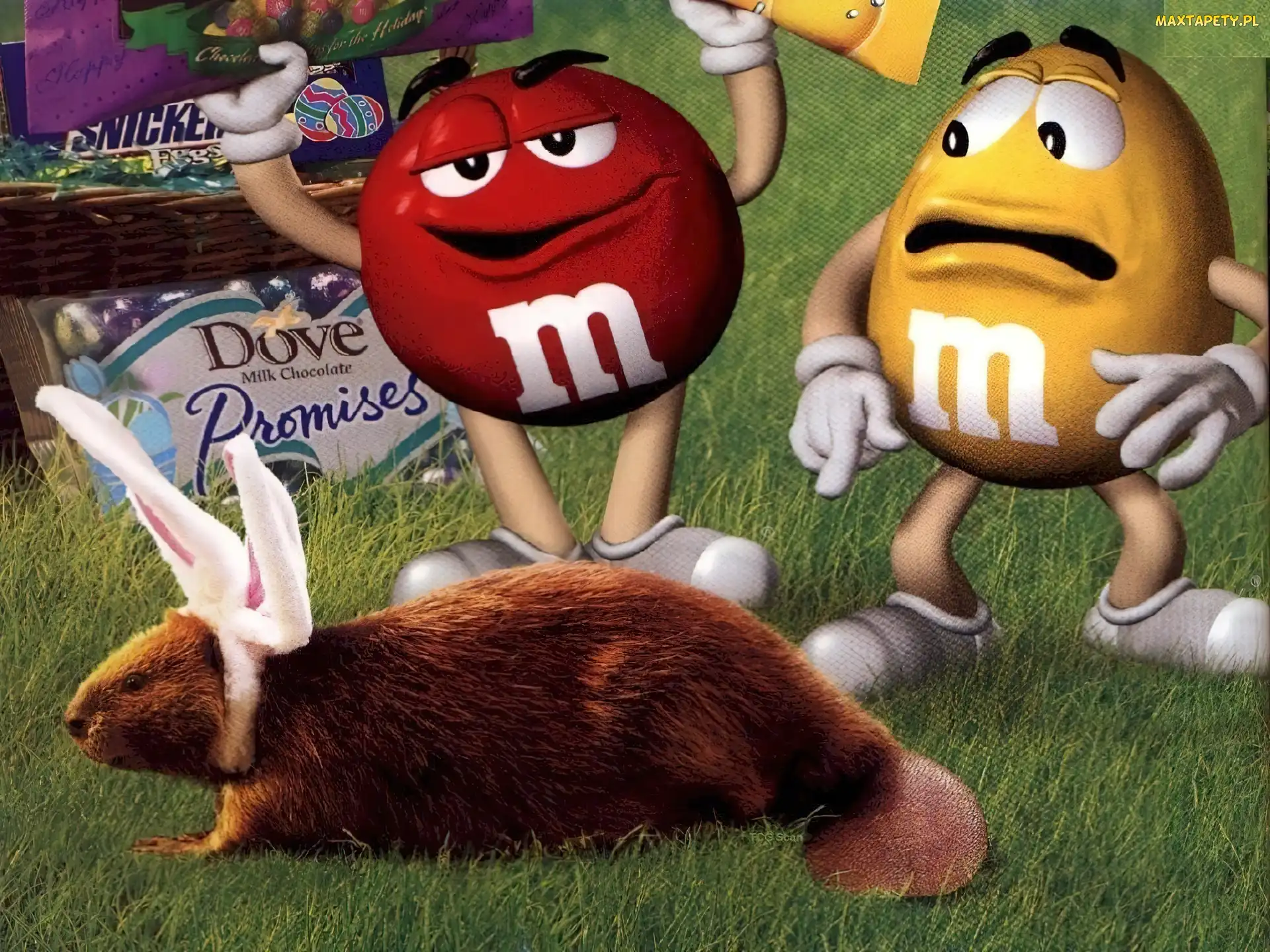 Dove, M&Ms, Wielkanoc