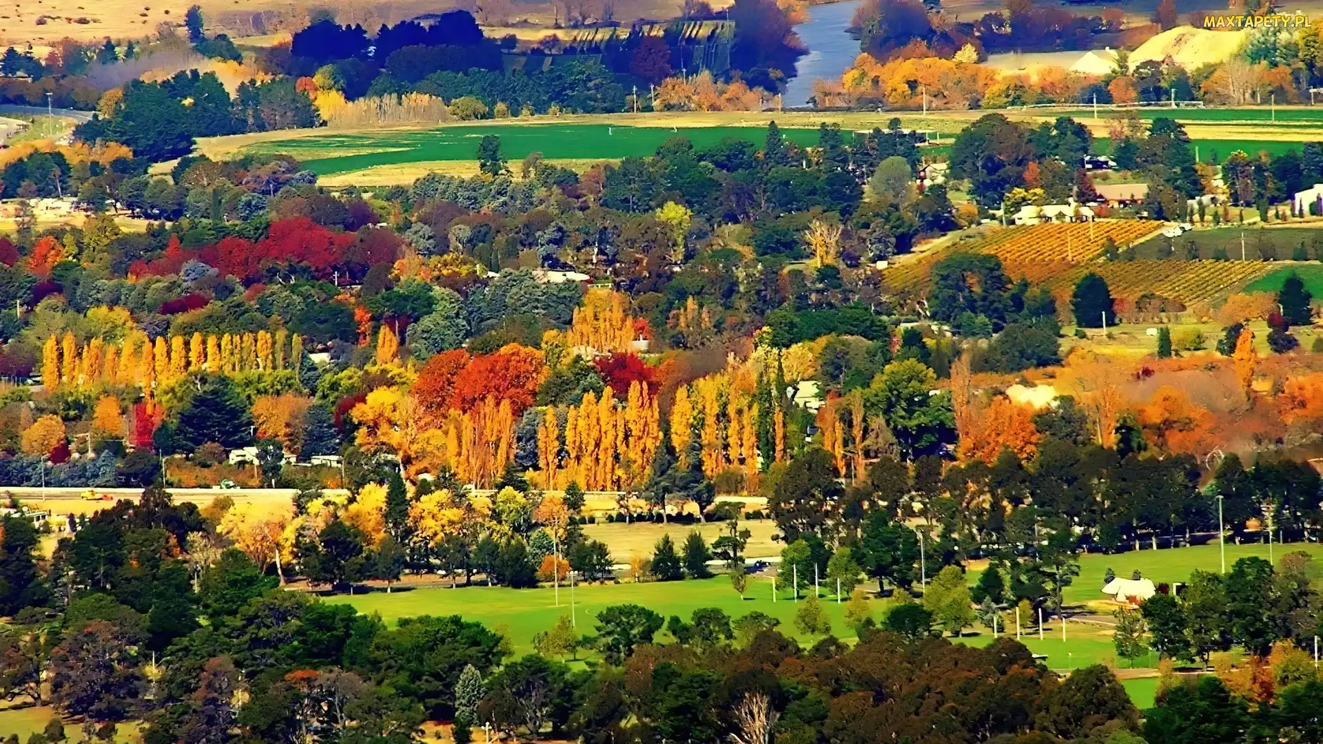 Australia, Queensland, Las, Kolory