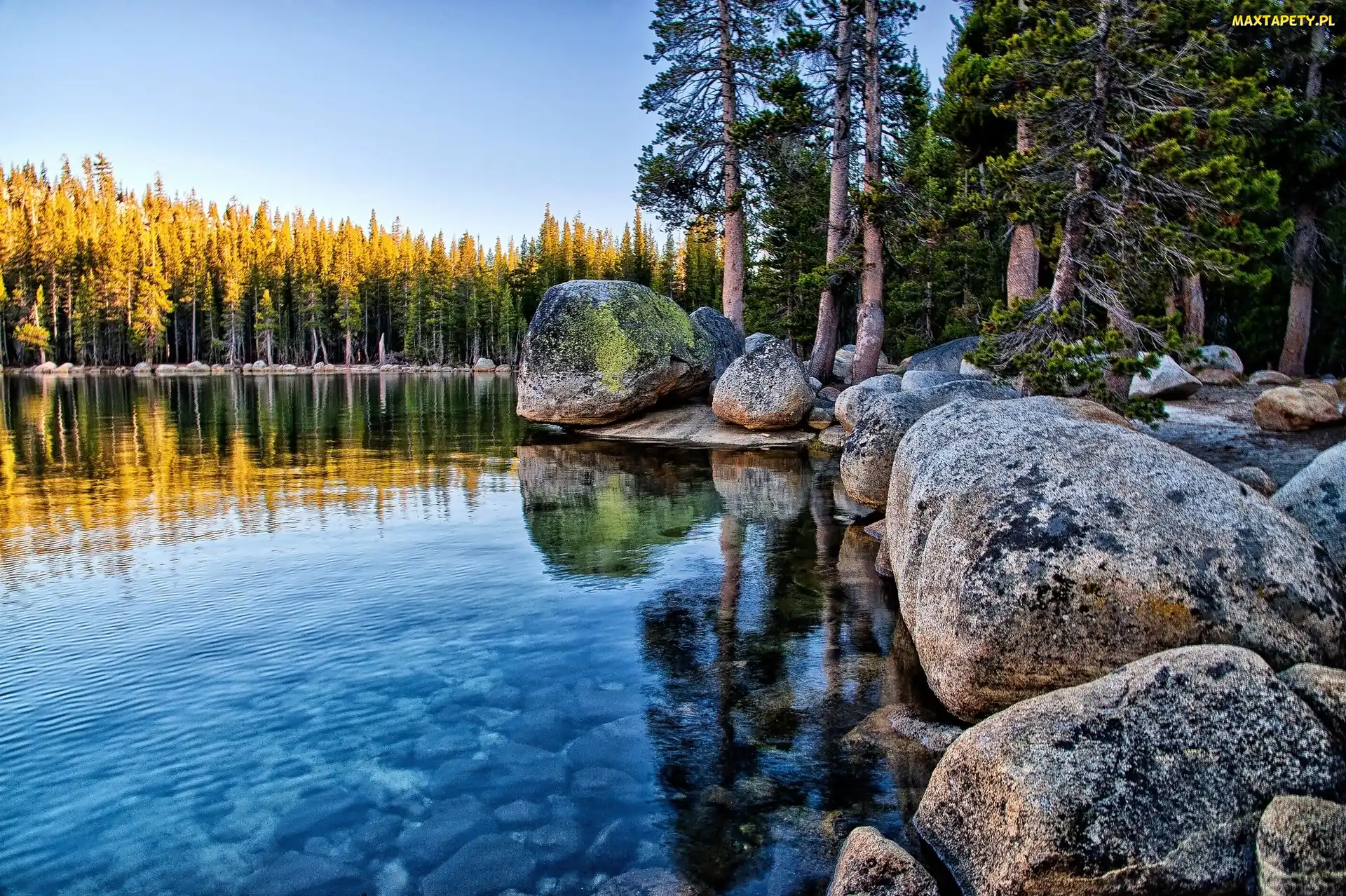 Kamienie, Jezioro Tenaya, Stan Kalifornia, Stany Zjednoczone, Park Narodowy Yosemite, Las