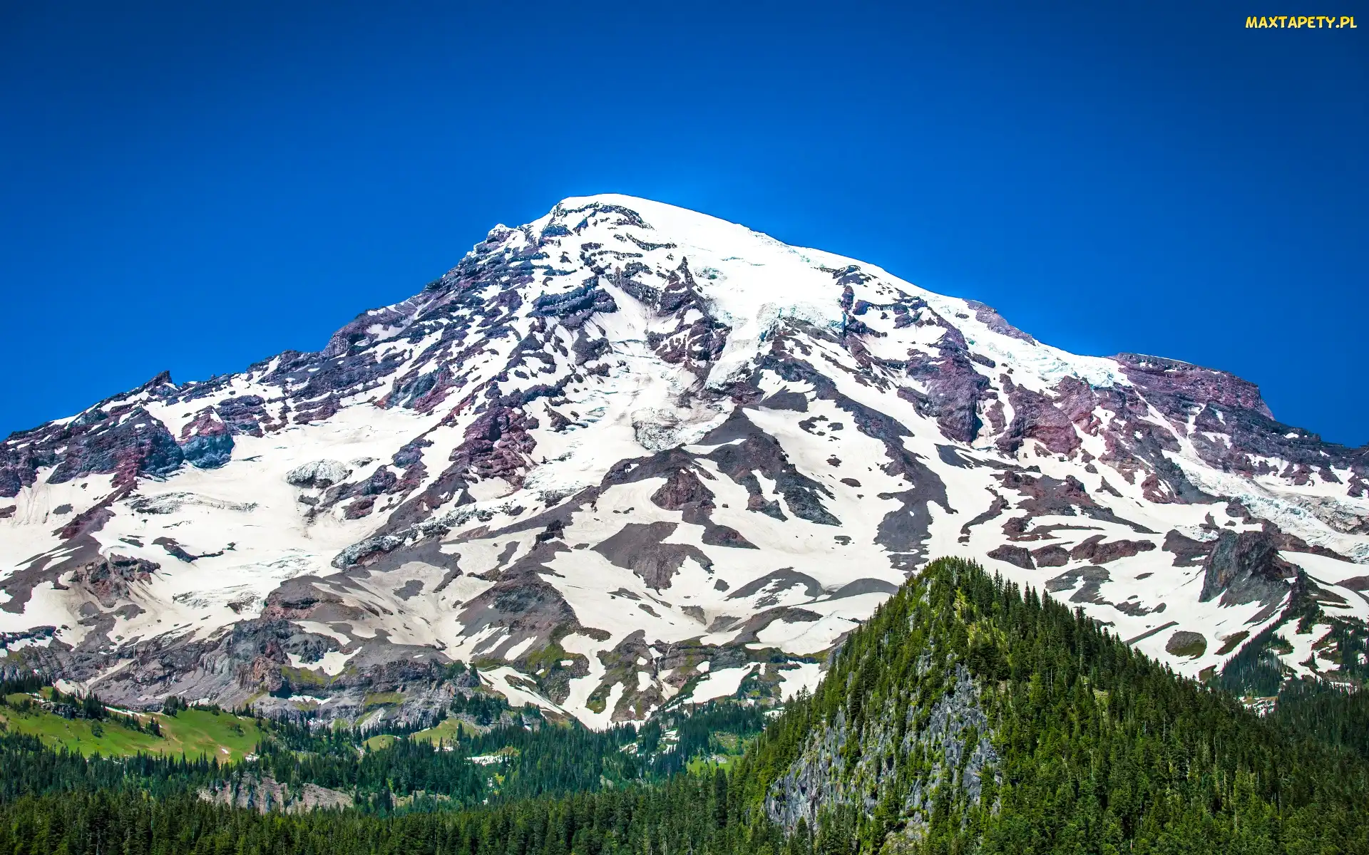 Lasy, Góra, Wulkan, Mount Rainier